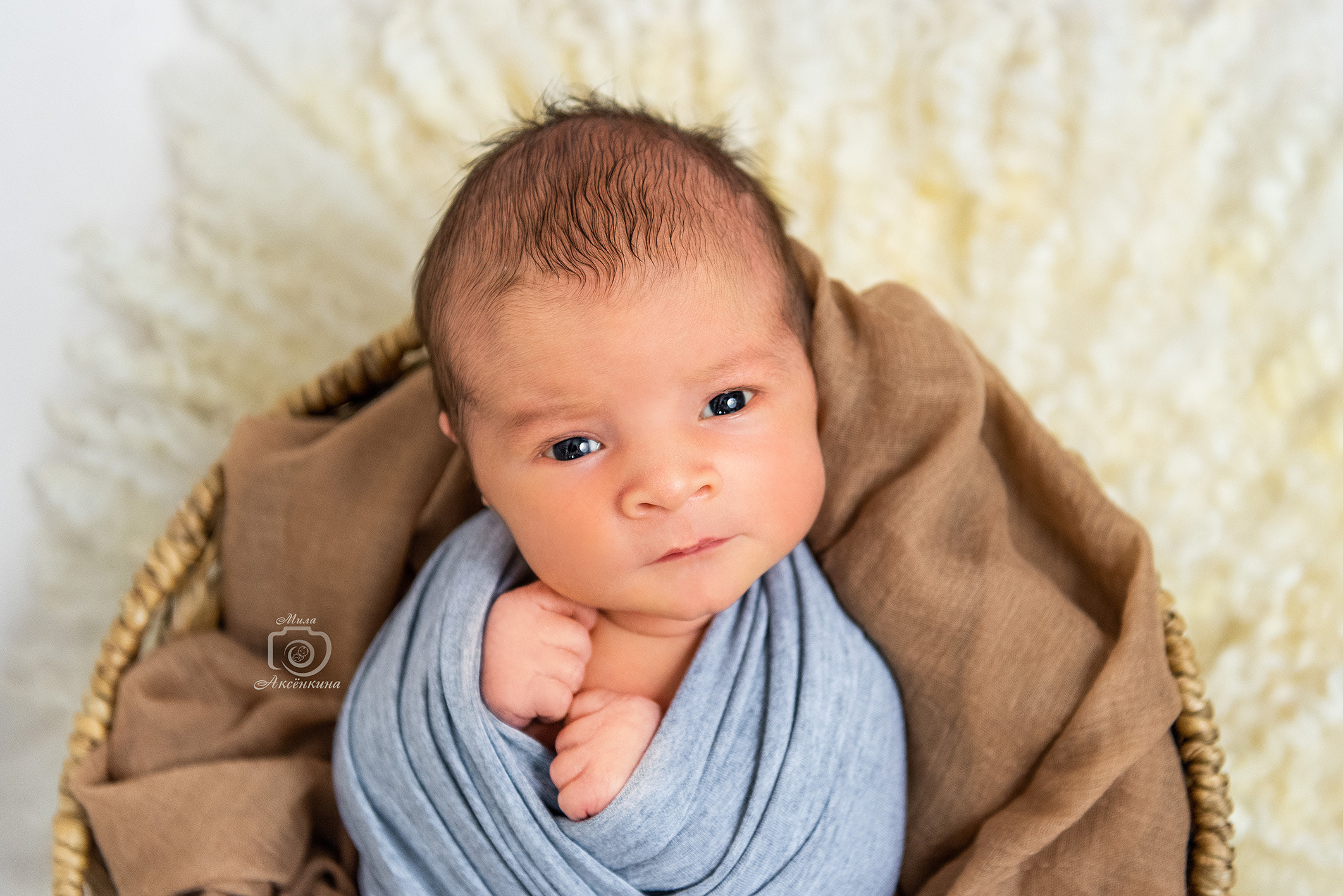 Портфолио новорожденных. Фотограф в Нефтеюганске Мила Аксёнкина