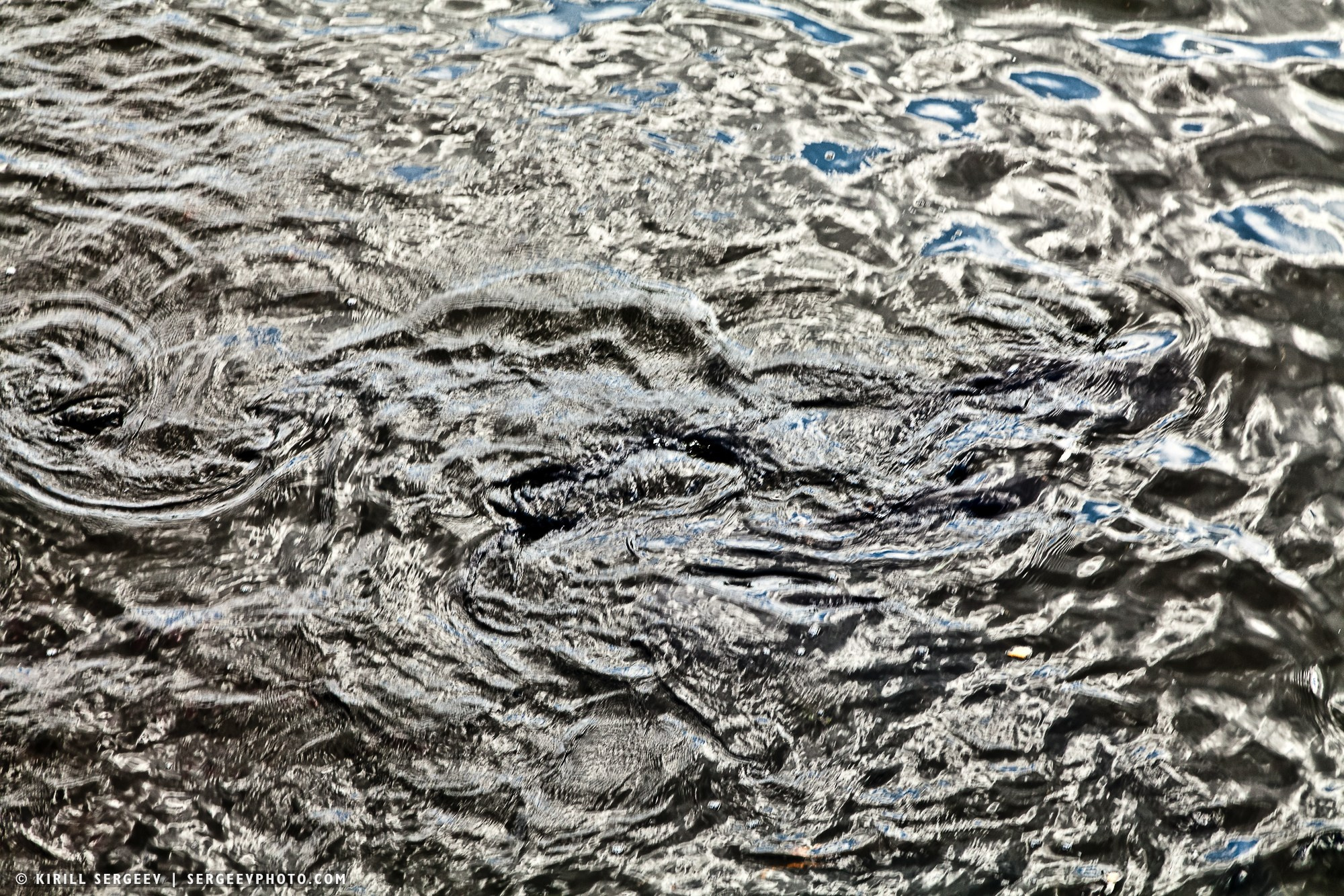 40 лет аварии на ЧАЭС. Поездка в зону отчуждения. 攝影師 基里爾·謝爾蓋耶夫 |莫斯科