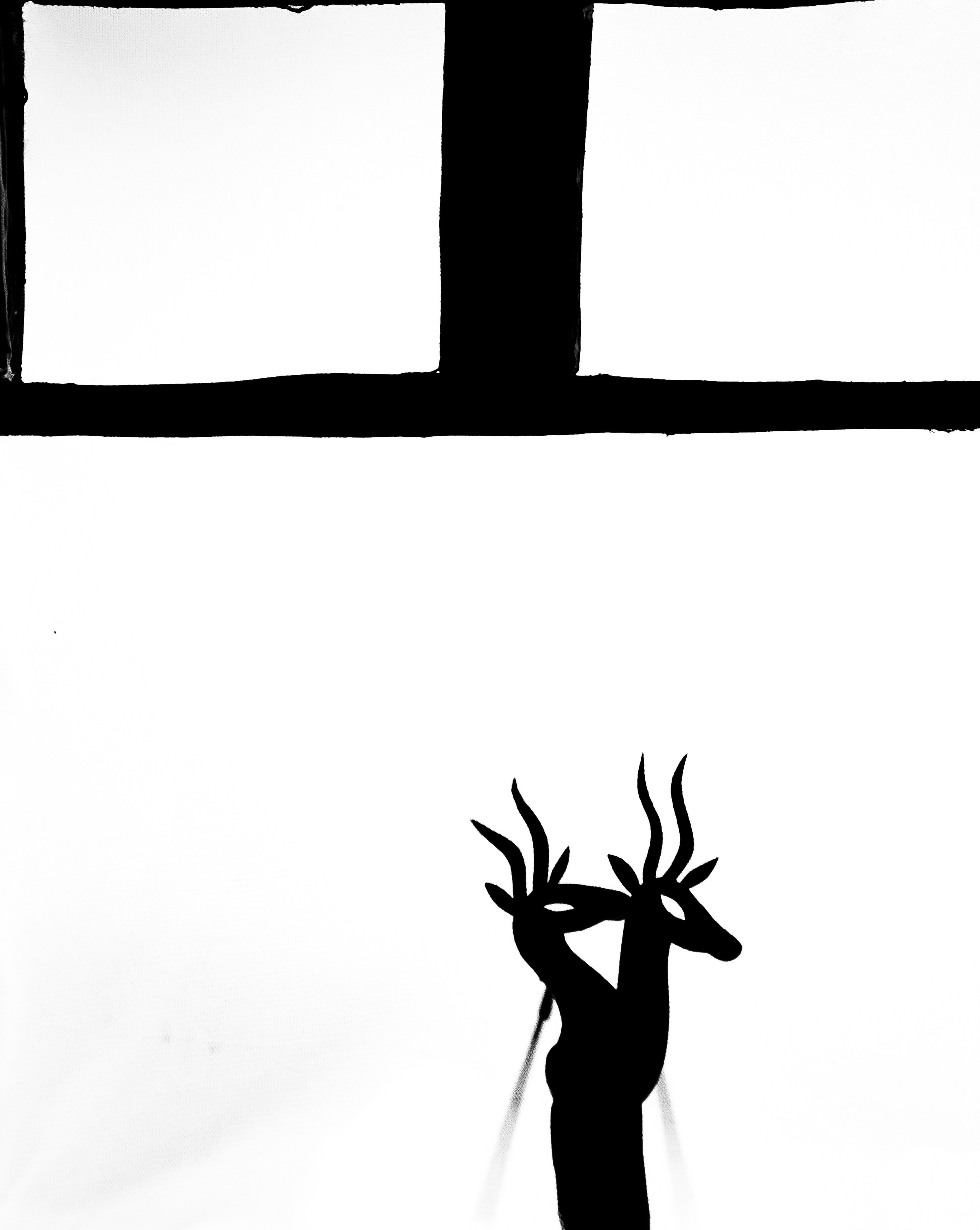 Тараканище спектакль кукольного театра Саквояж — премьера. Фотограф в Сочи Юрий Шептаев