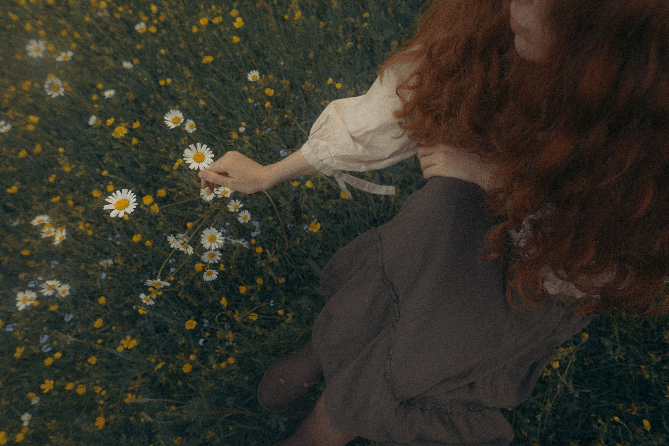 Корни. Алиса Аницкая