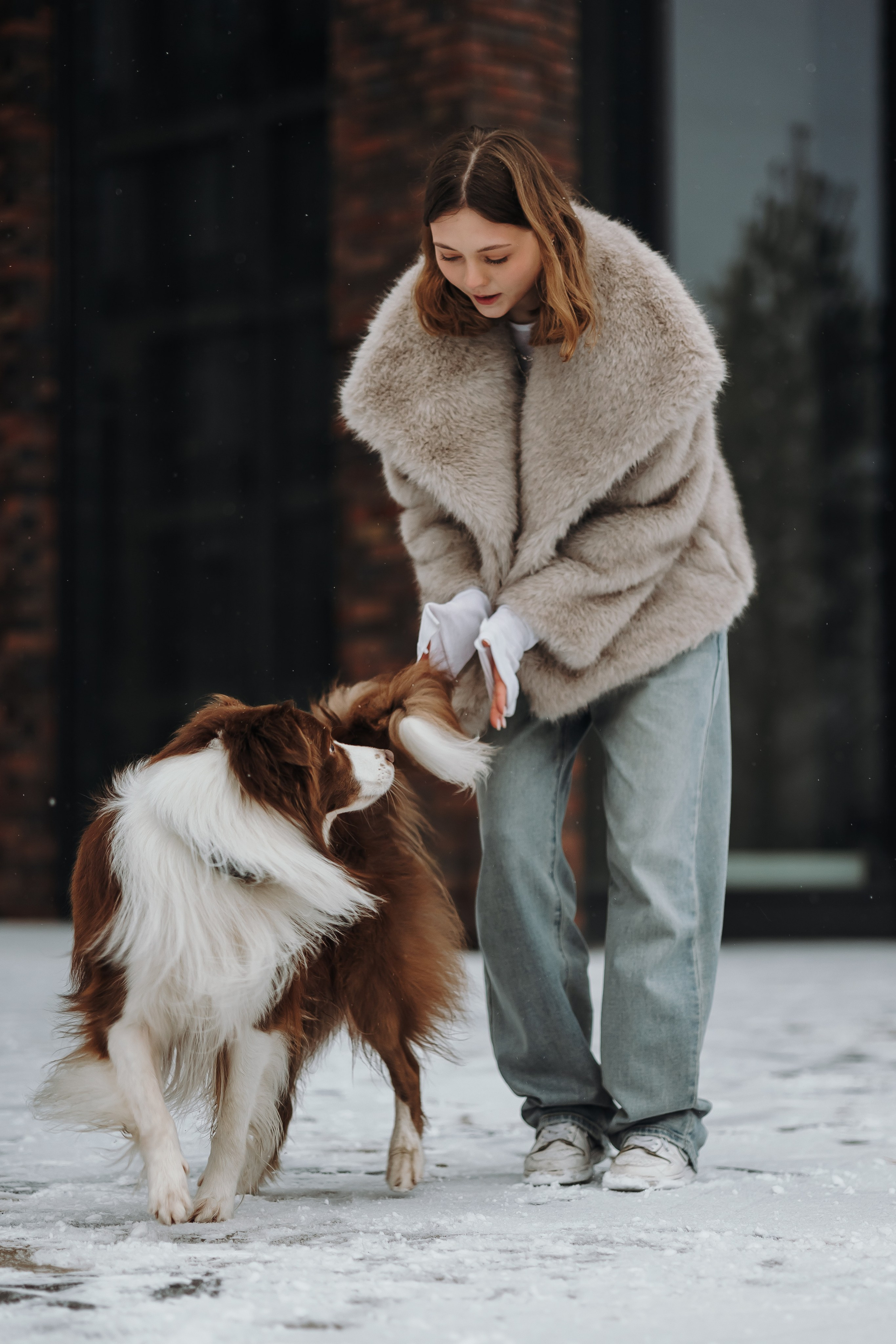 Маша и Брауни. Фотограф-анималист в Санкт-Петербурге Алина Яхонт