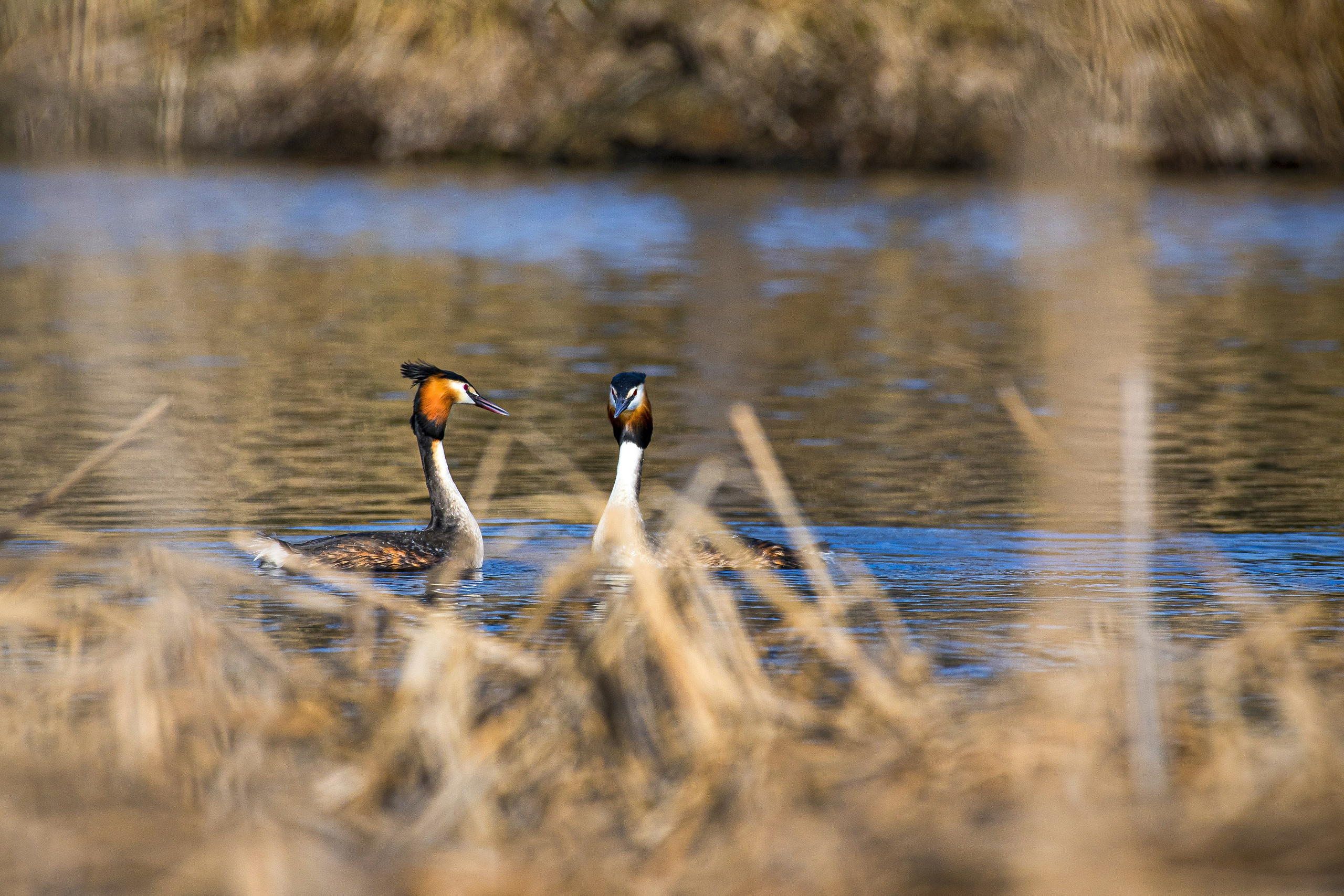 Фотоохота. Репортажный фотограф в Ижевске Константин Ившин