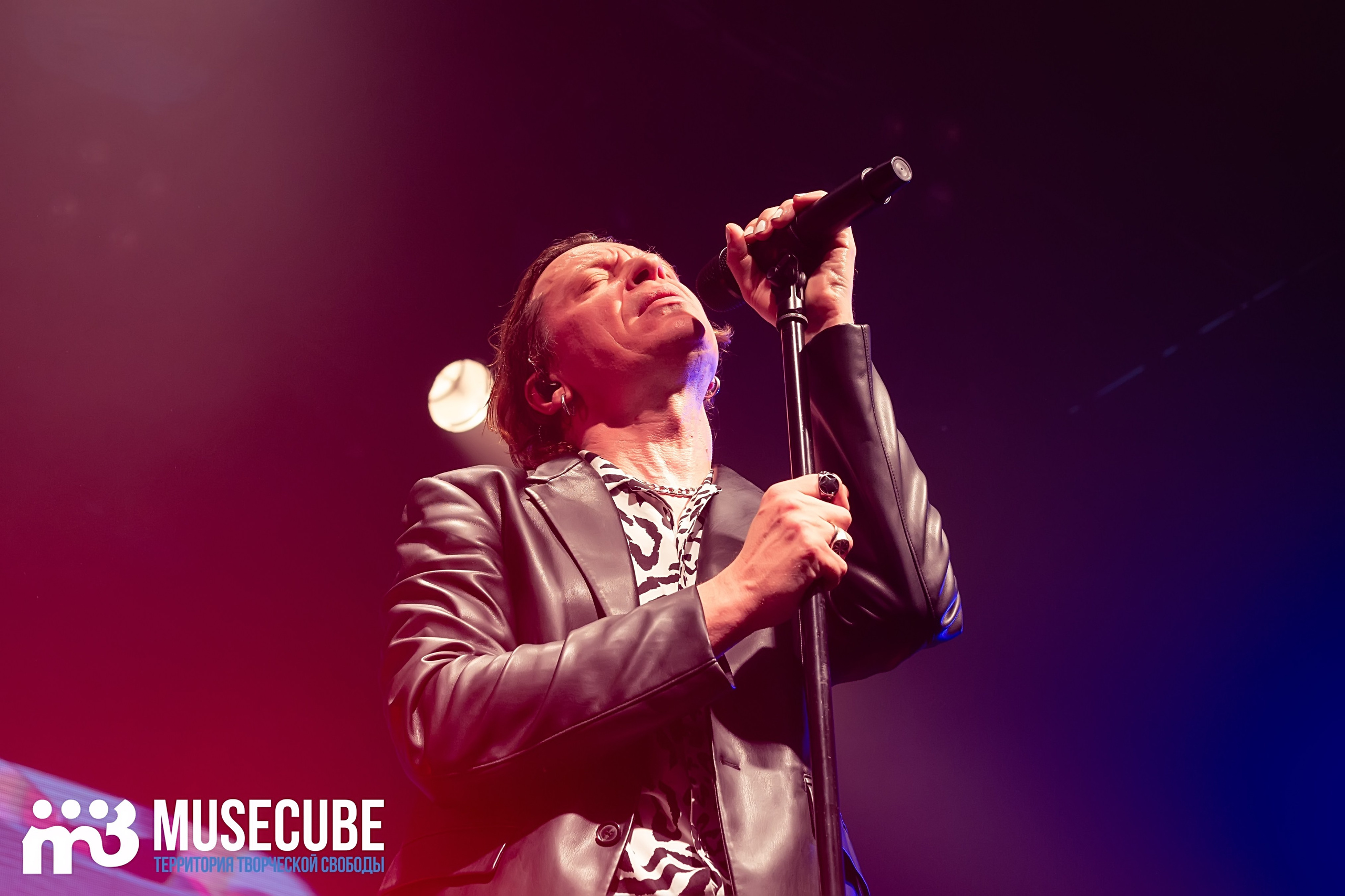 Фотосъемка концерта Найк Борзов Космонавт СПБ. Портретные фотосессии, контент-съемки, репортаж