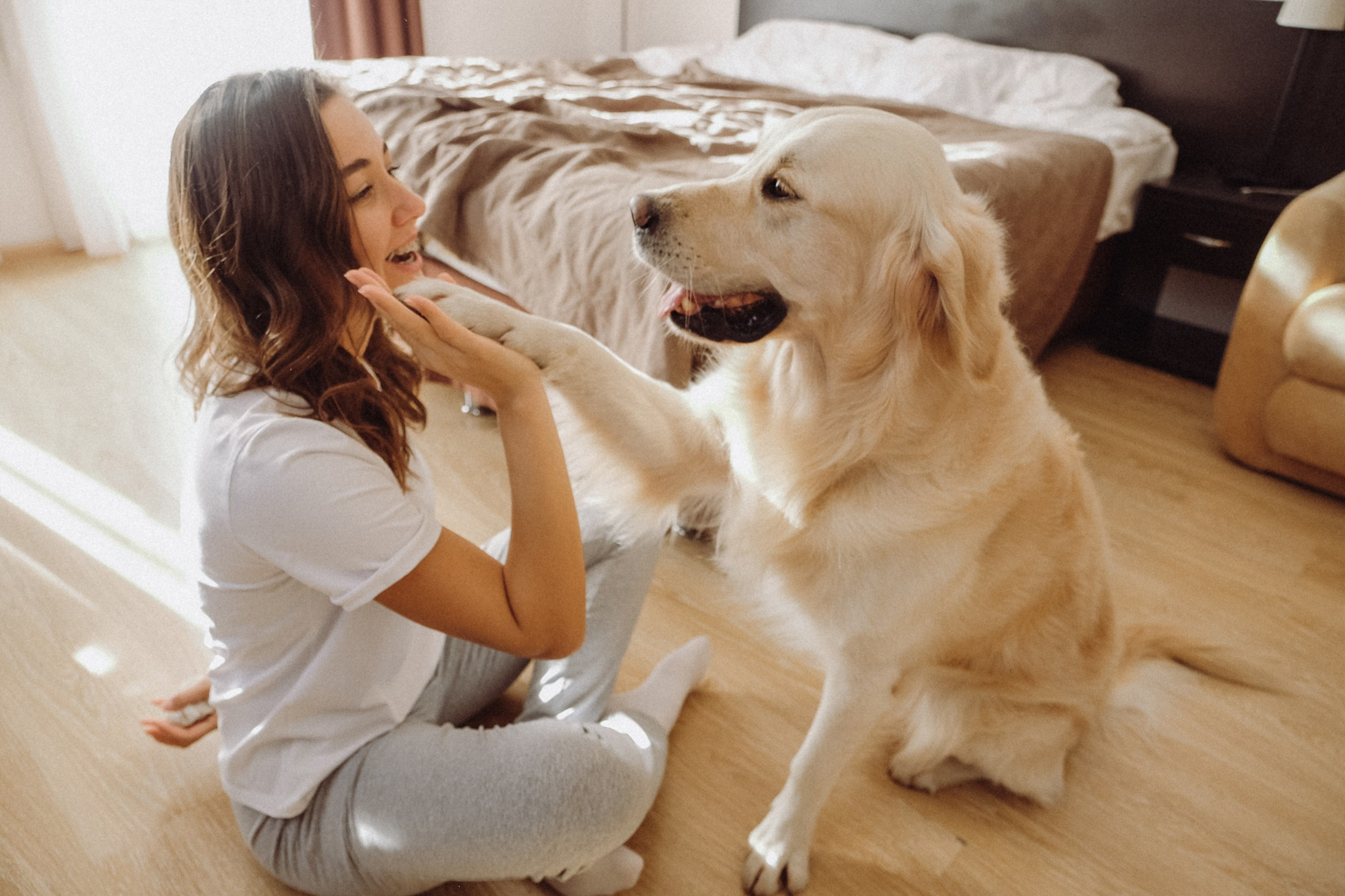 Макс, Марина и Найджел. Семейный фотограф Москва