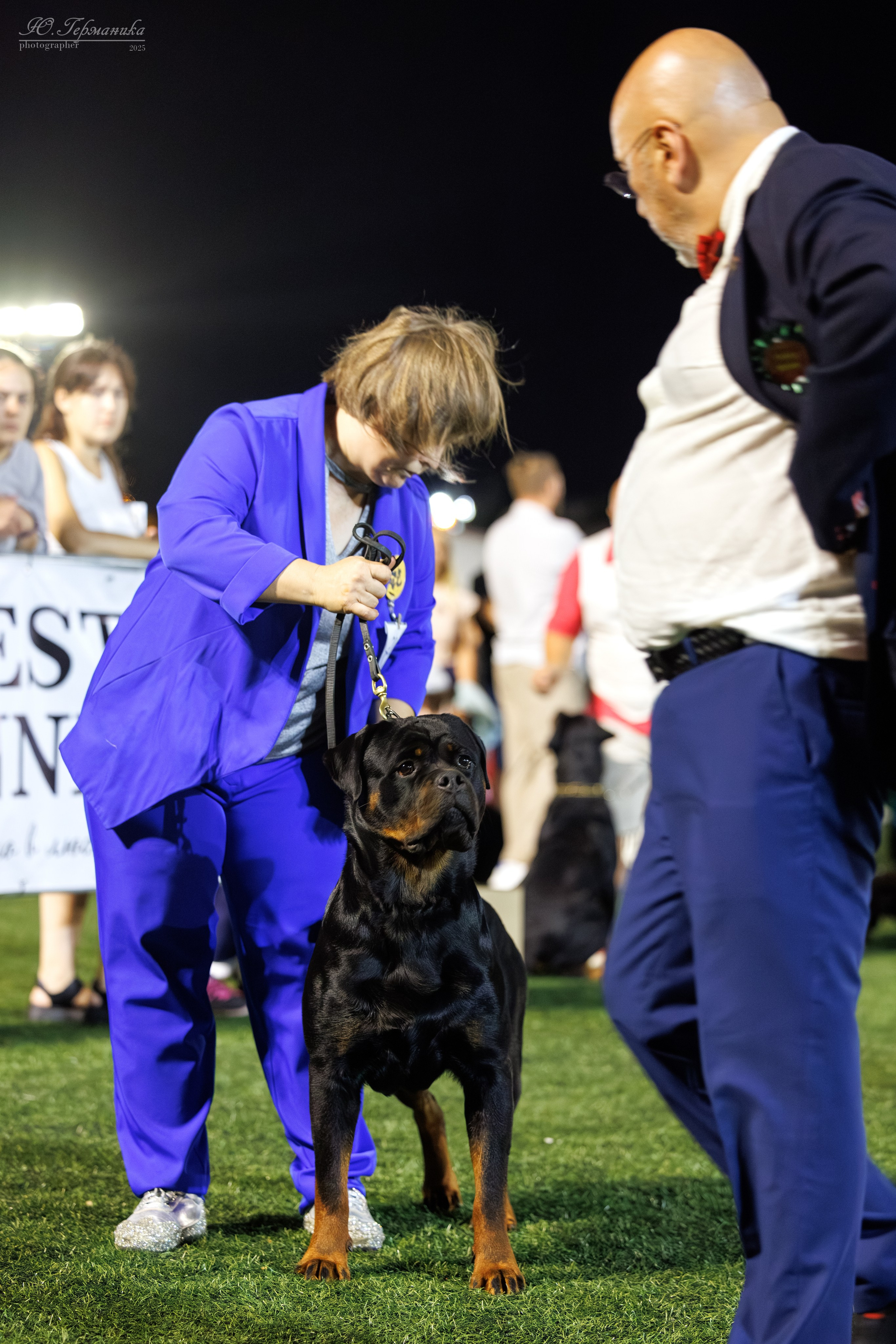 Калининград 25-27.07 Волгоград 1-3.08 2025. Фотограф-анималист Юлия Германика