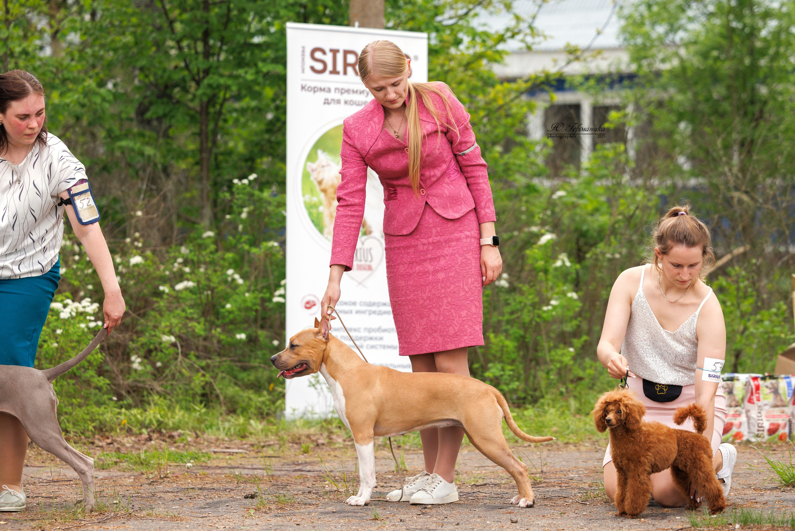 Тверь 24.05.2025. Фотограф-анималист Юлия Германика
