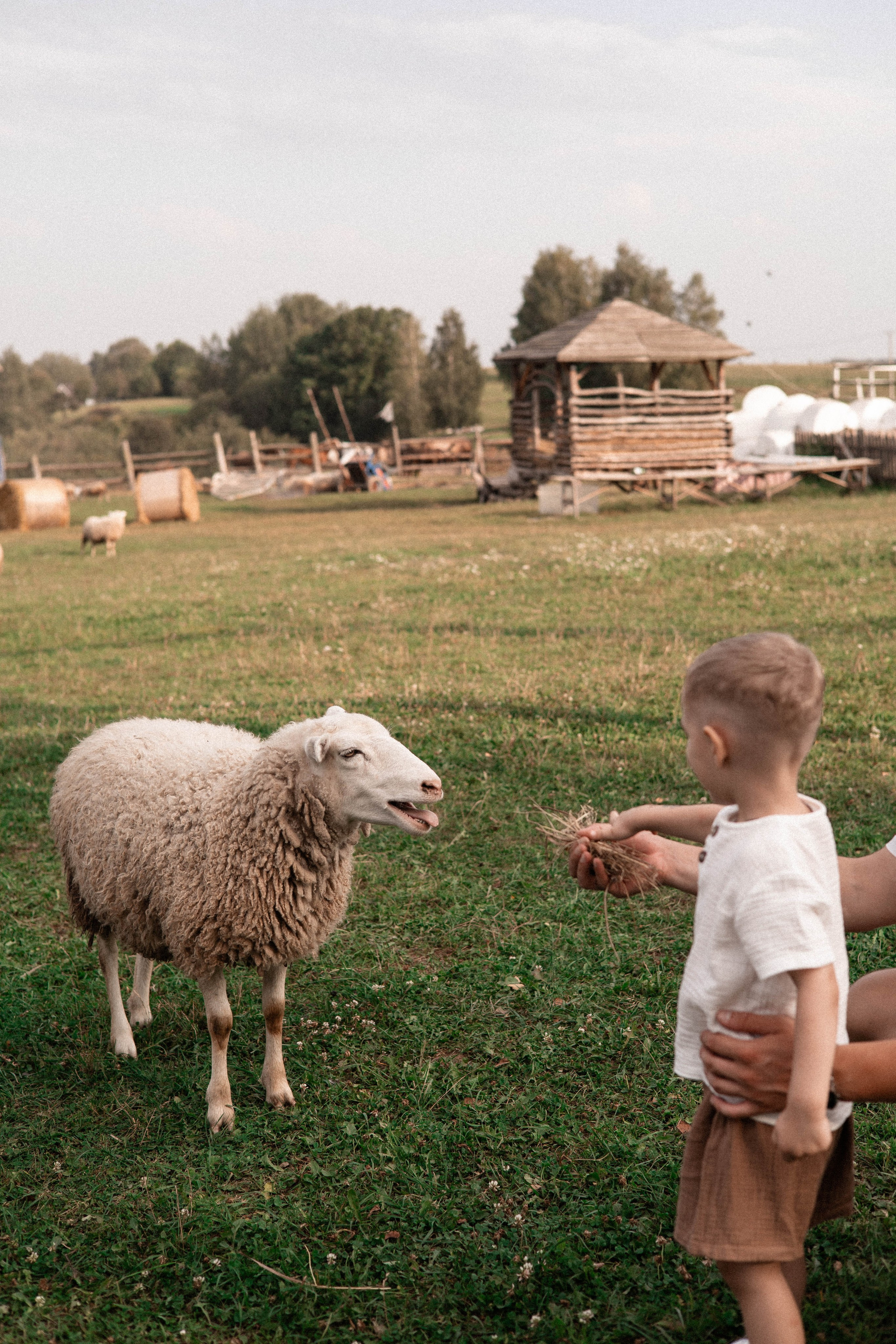 Давид, Настя и Дима. Свадебный и портретный фотограф Соломко Диана