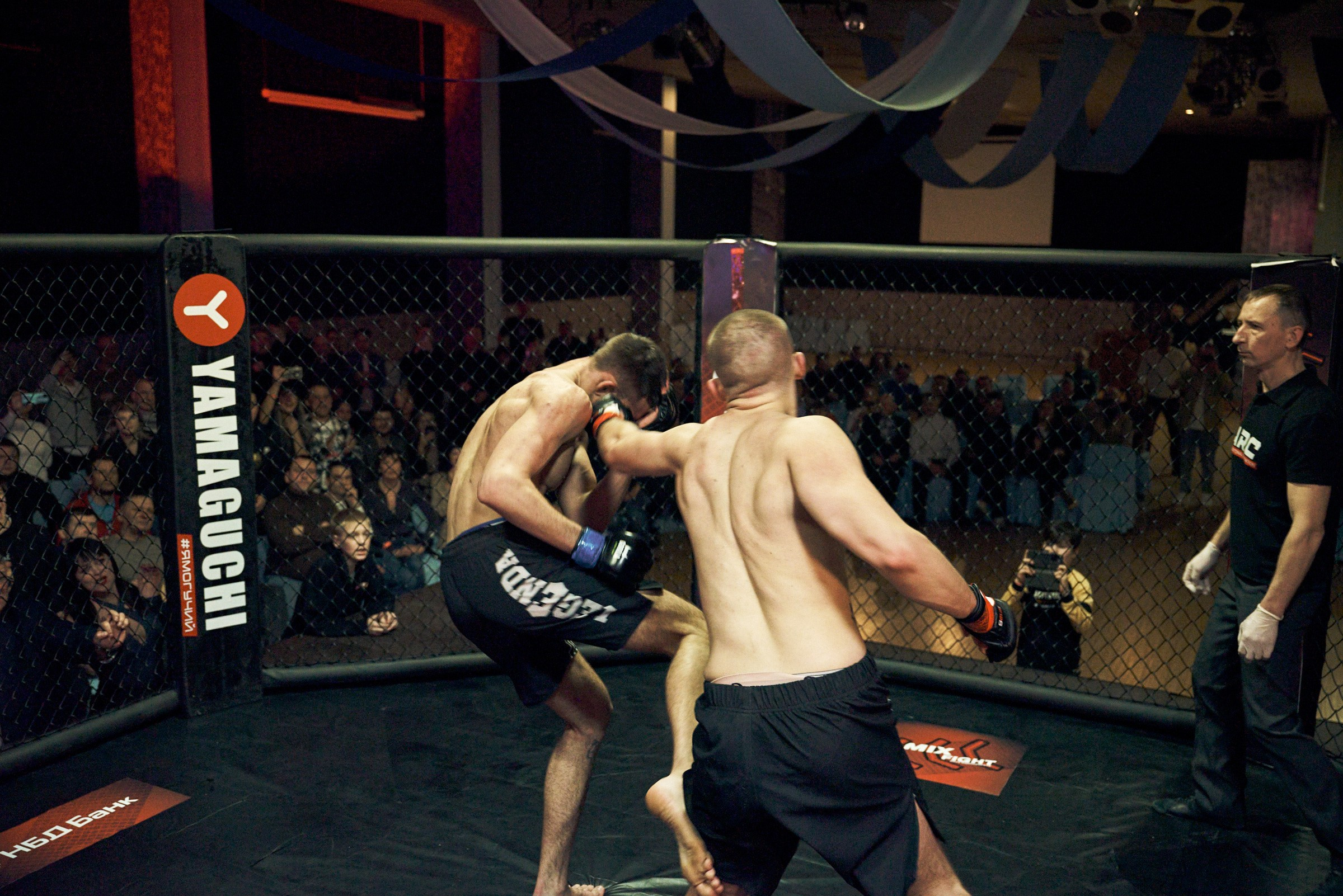 Бои. Маляревич Дмитрий свадебный фотограф