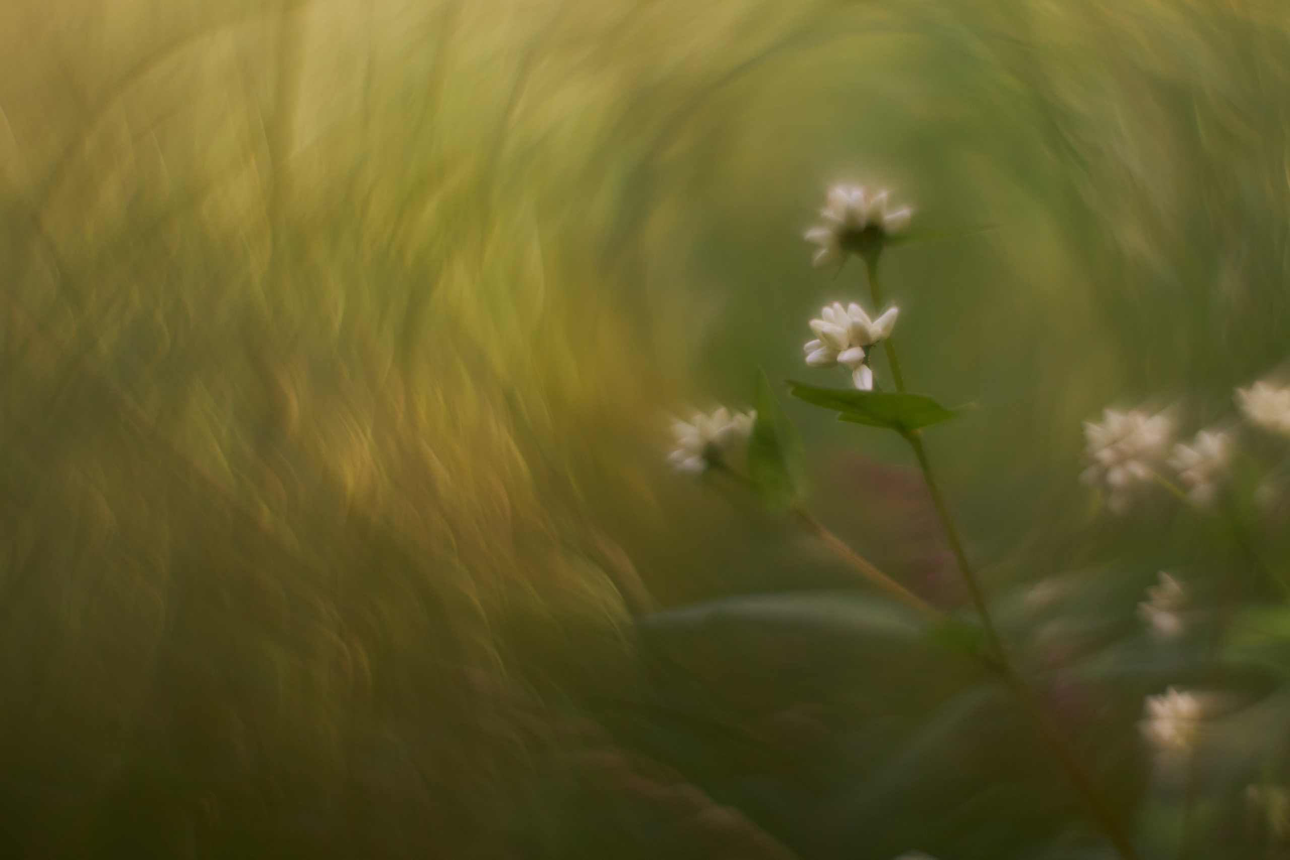 «Незримые Миры». Арт-фотограф во Владивостоке Дмитрий Осипчук