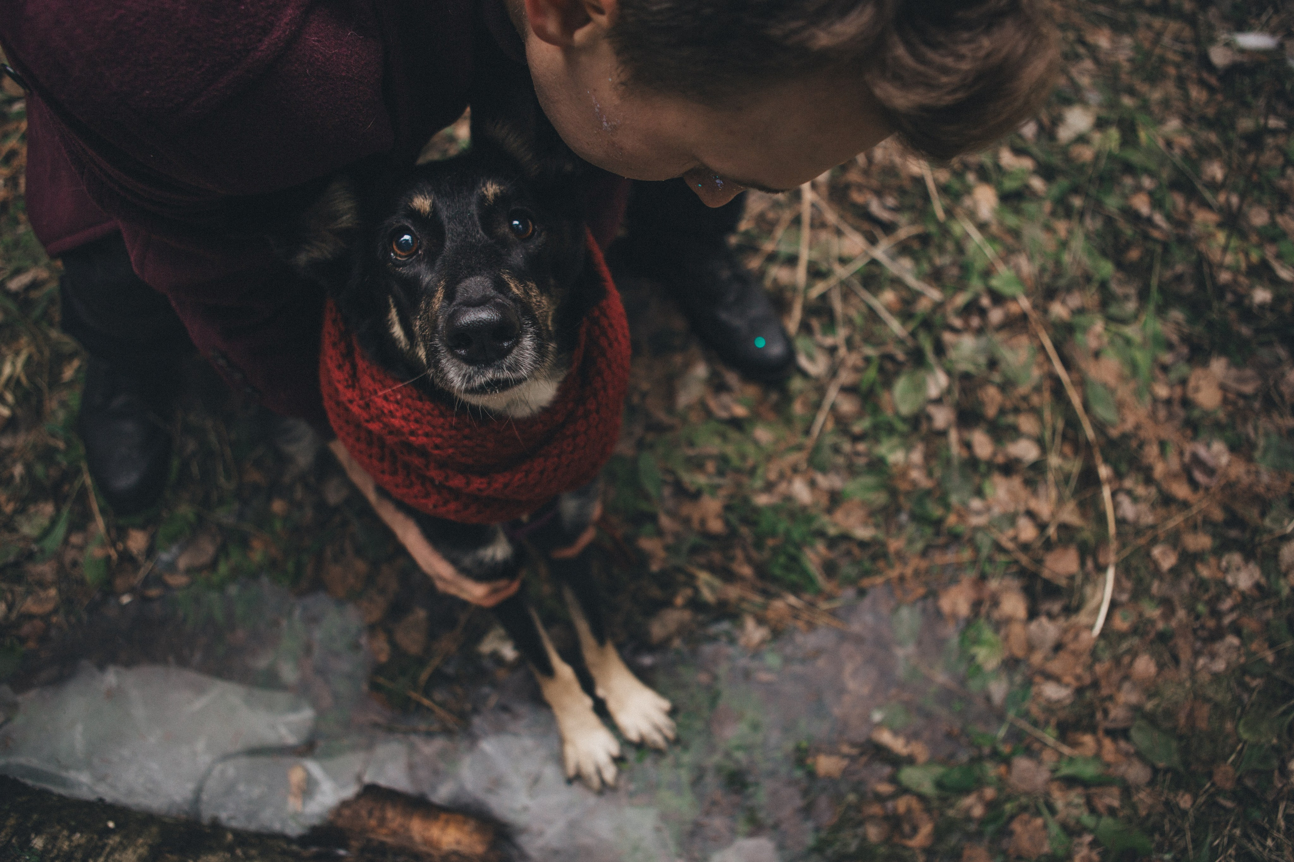 A cinematic tale of true love and unbreakable friendship between a man and a dog. Portrait, family and pet photographer in Cyprus, Ksenia Bourdelle