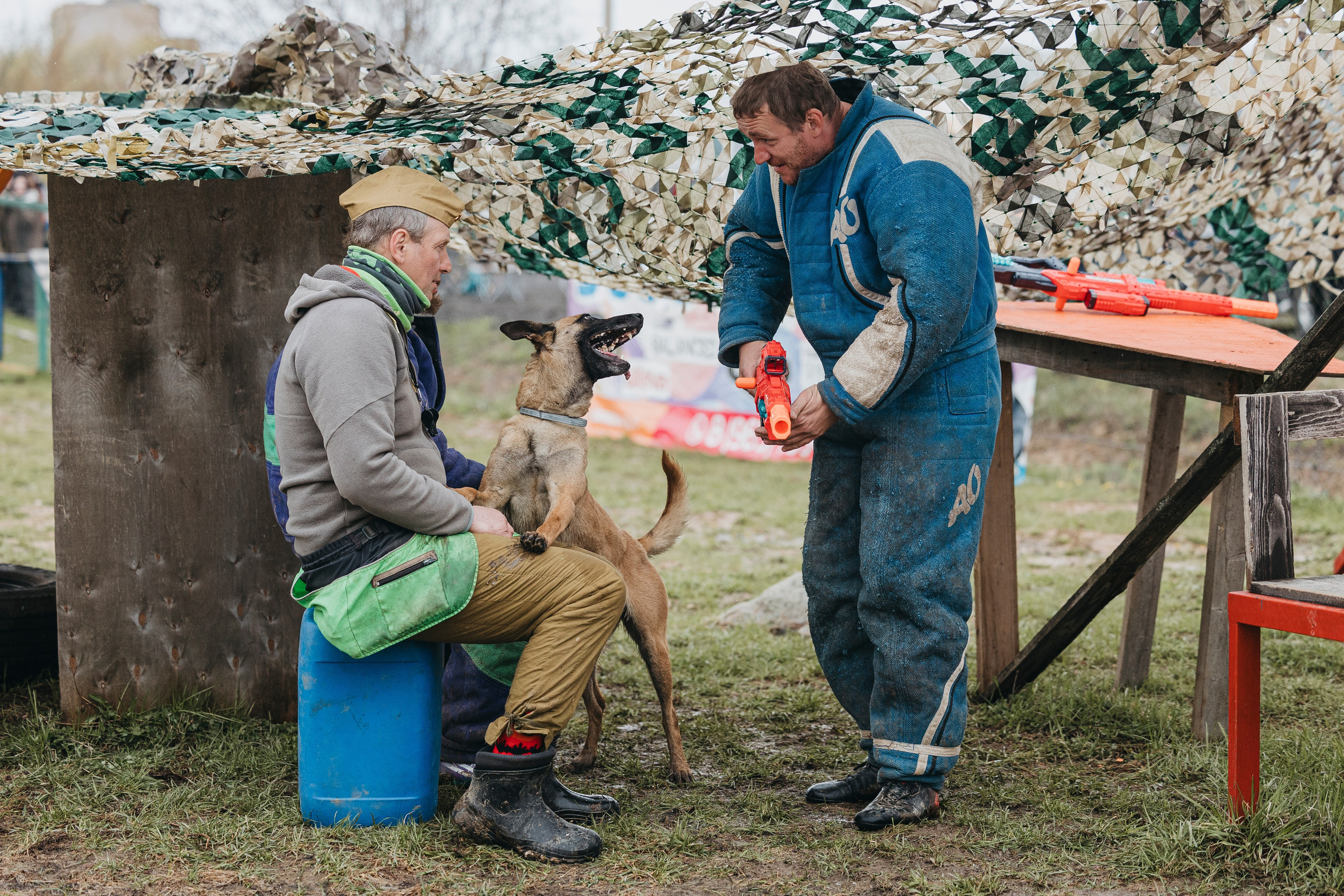 09.05.25 Вологда соревнования. Фотограф-анималист Анна Маринич