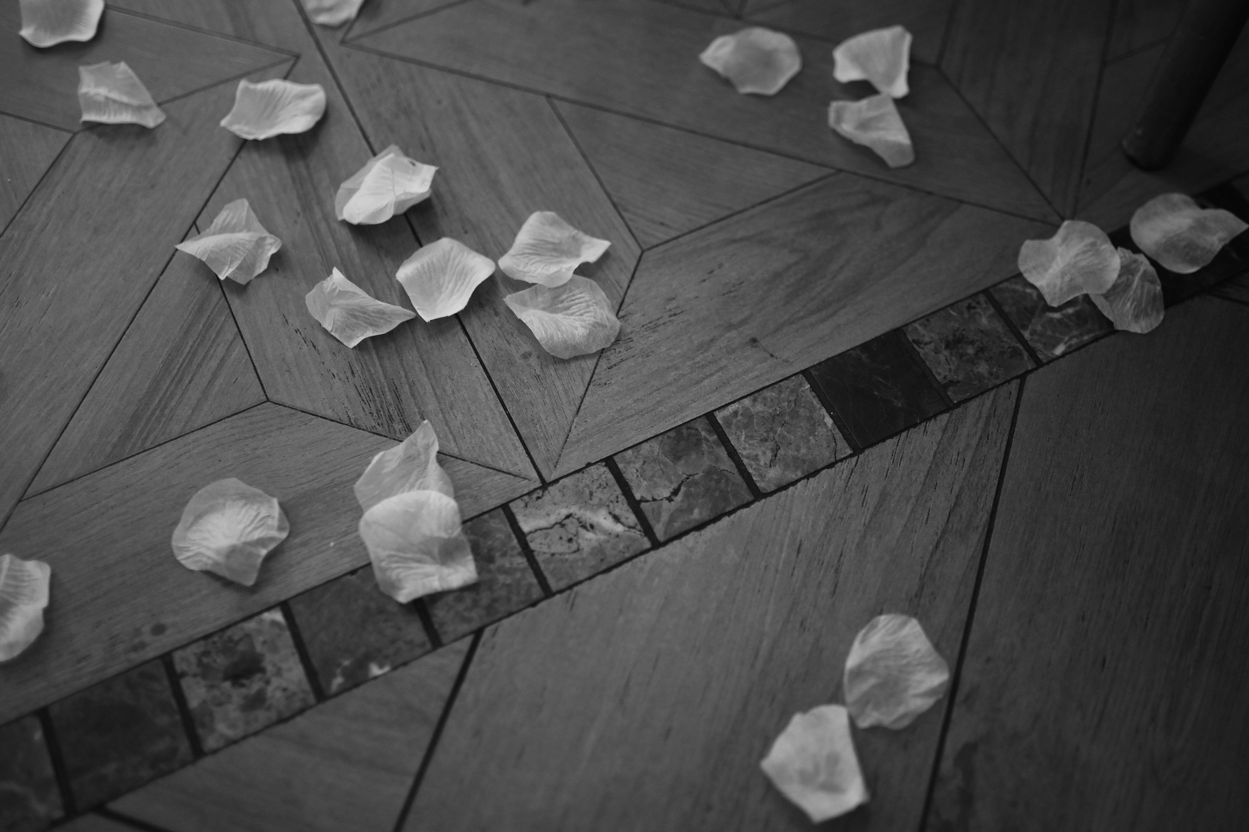 Алиса и Павел