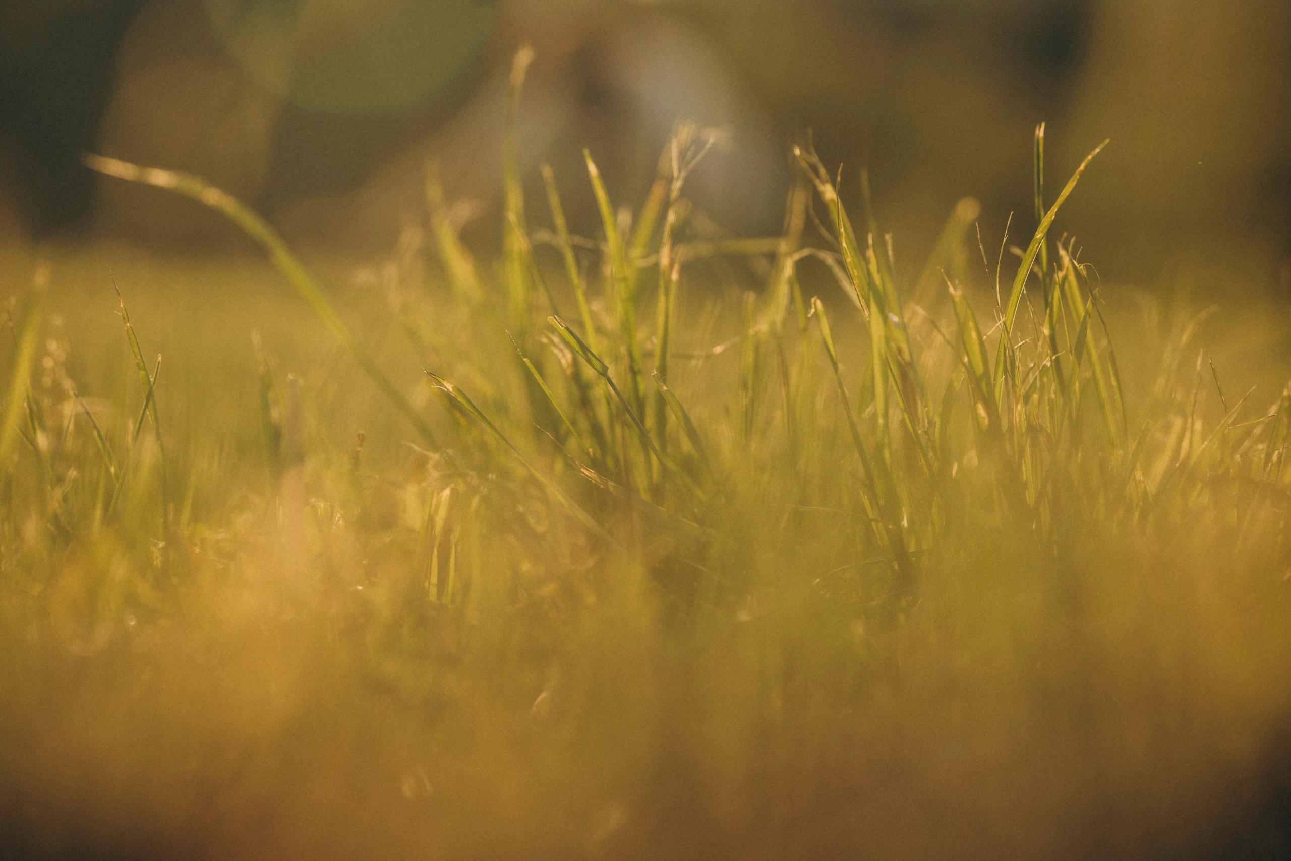 Юлия и Барселона. Татьяна Афонина | Фотограф