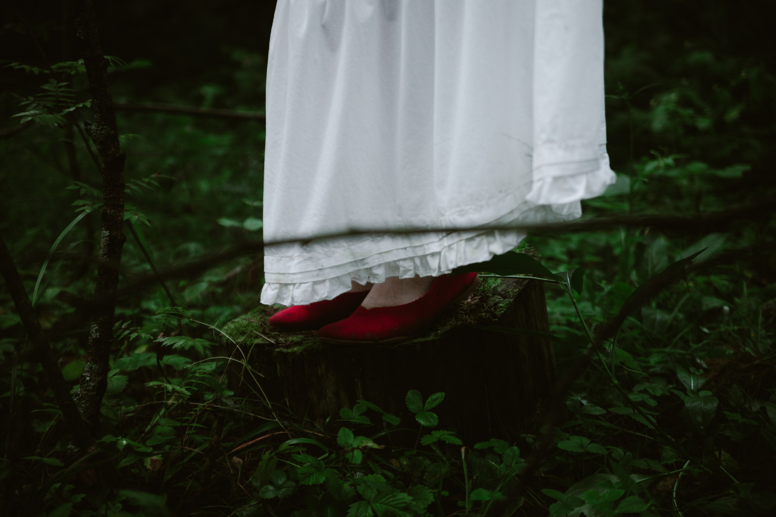 A_K. Фотографический диссiдентъ