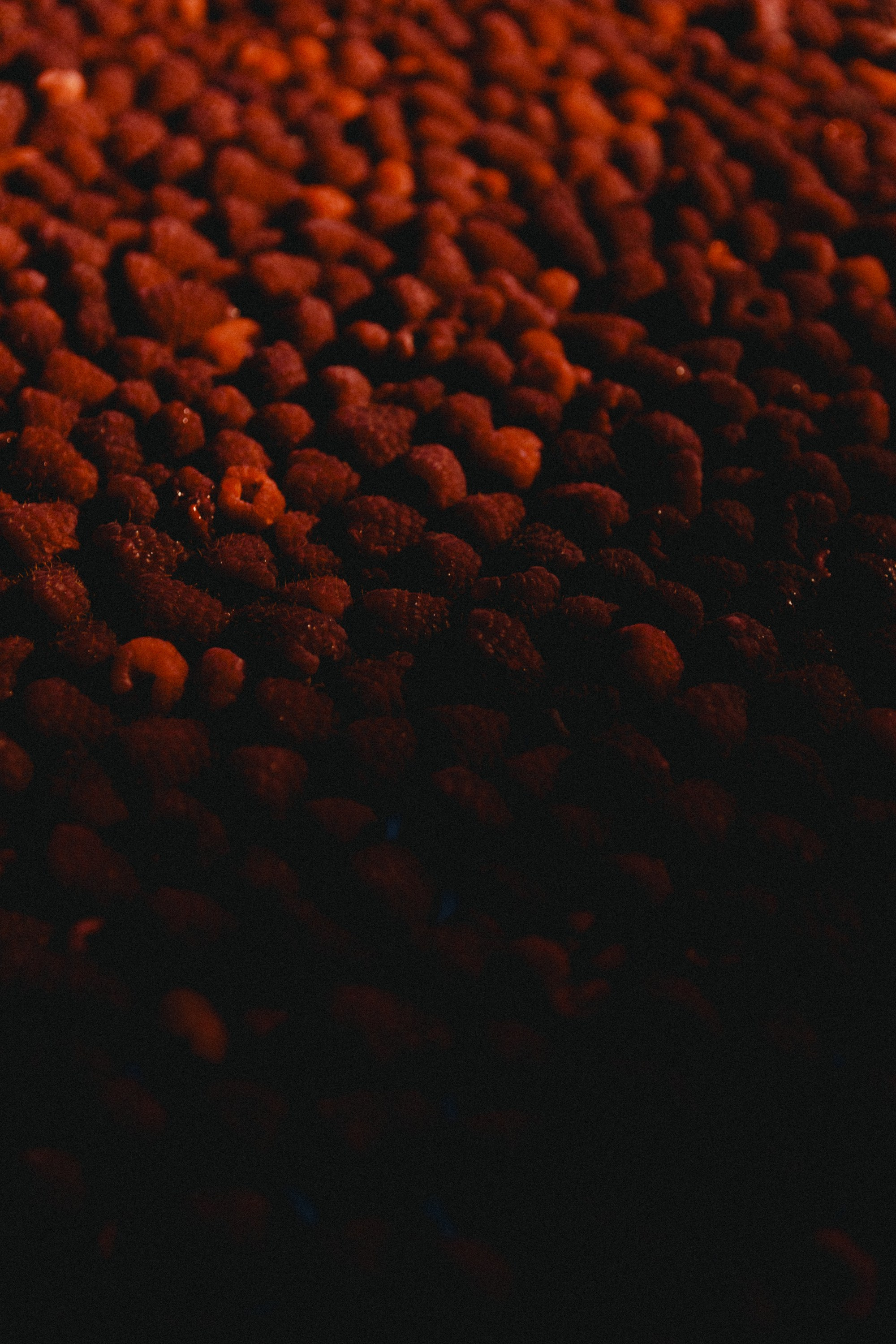 Отель Долгорукий не то чем кажется. Репортажный и портретный фотограф во Владимире Сергей Кравцов