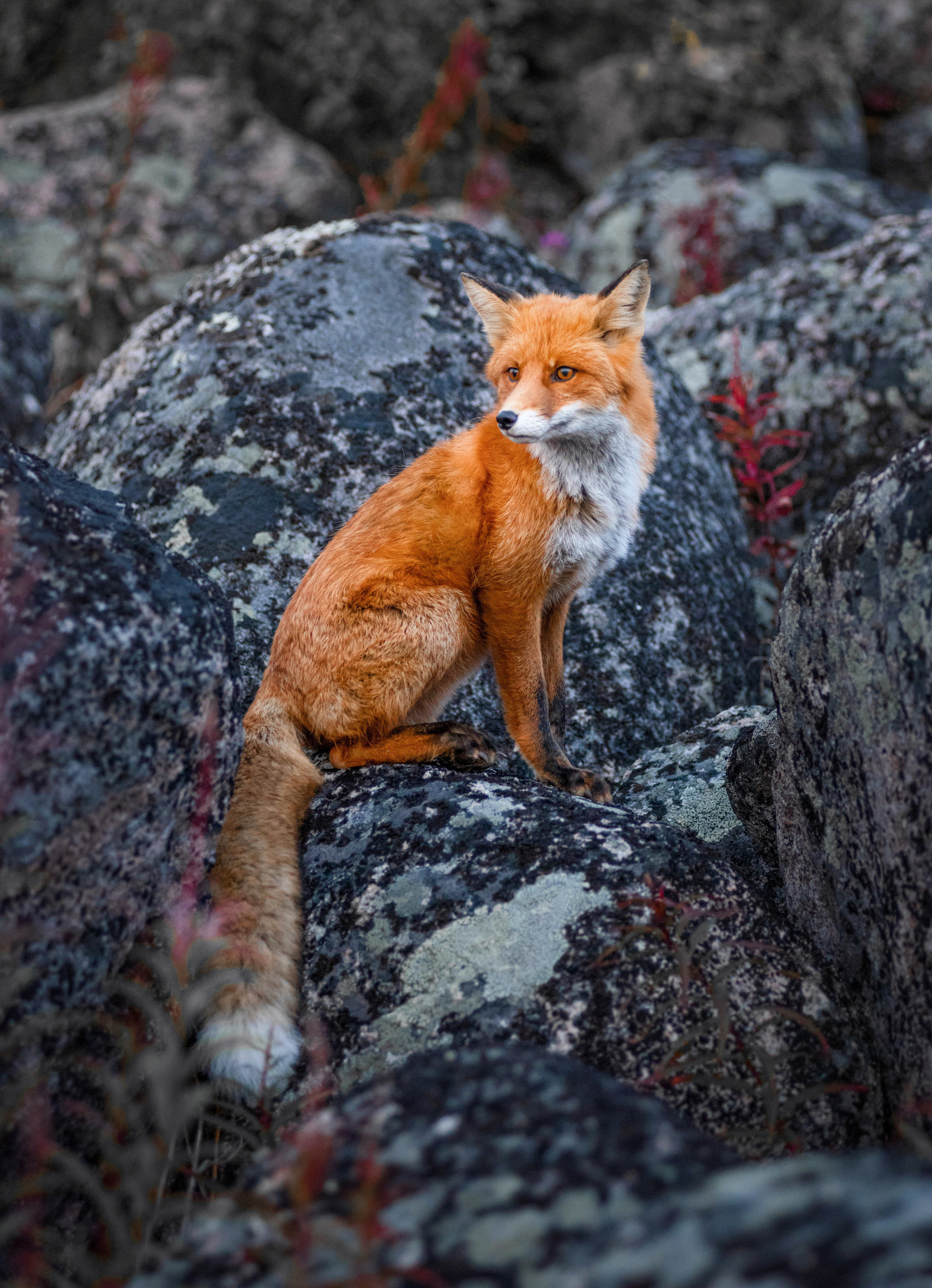 Russian North. Landscape photographer Elena Ermolina