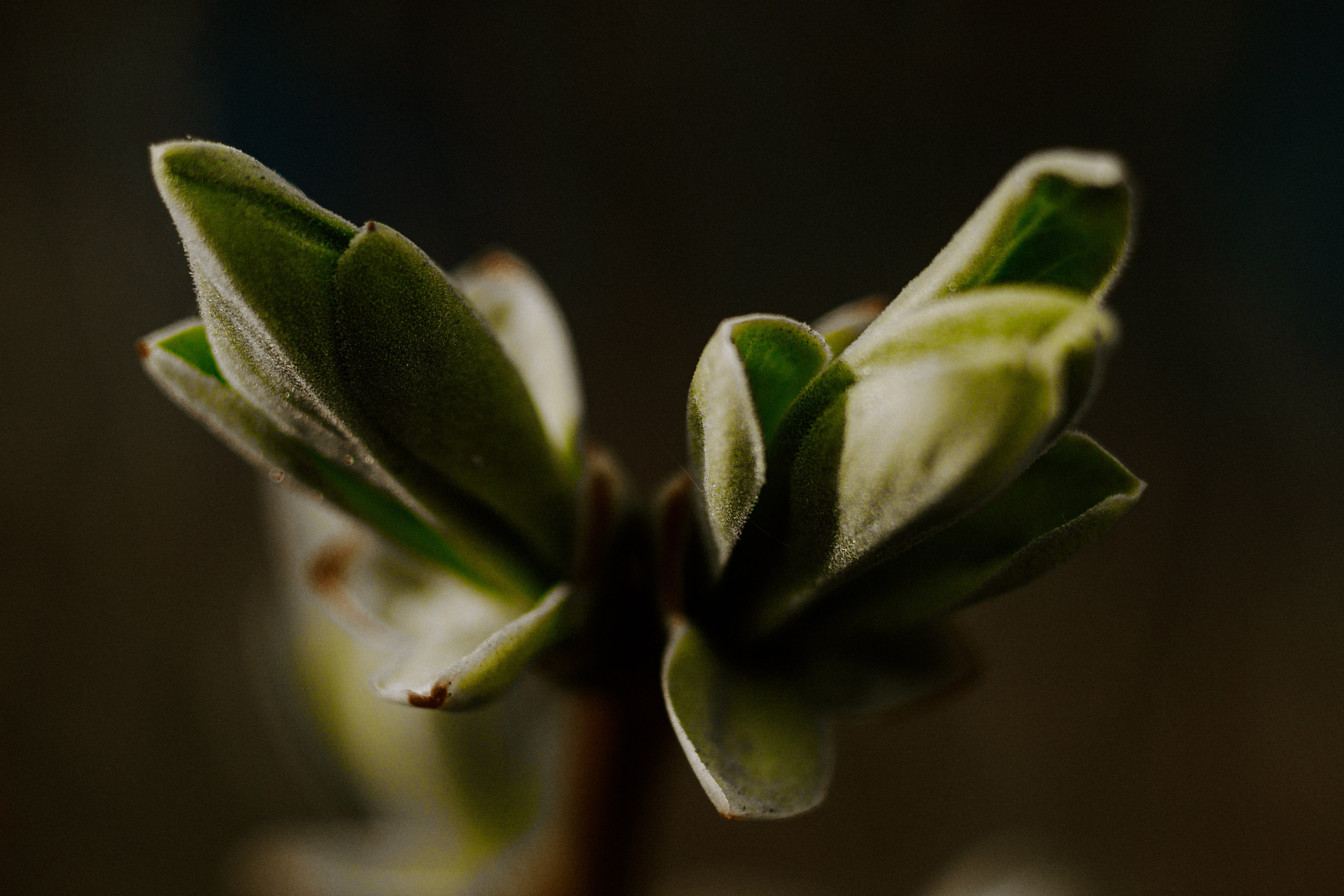 EXHIBITION. Репортажный и интерьерный фотограф, фотохудожник