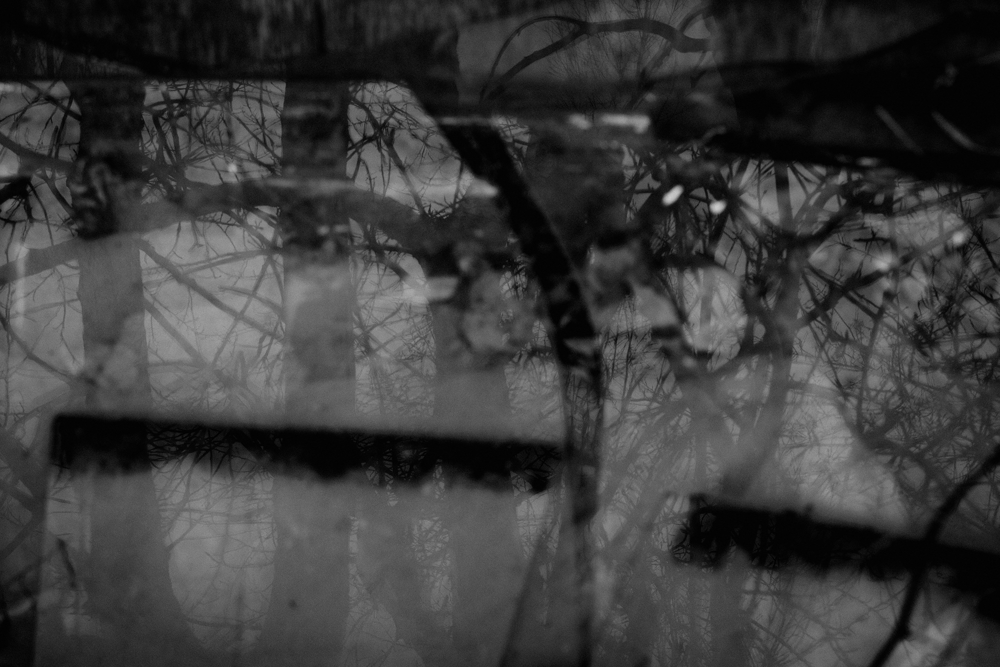 № 6. WAYHAY — Портретный фотограф