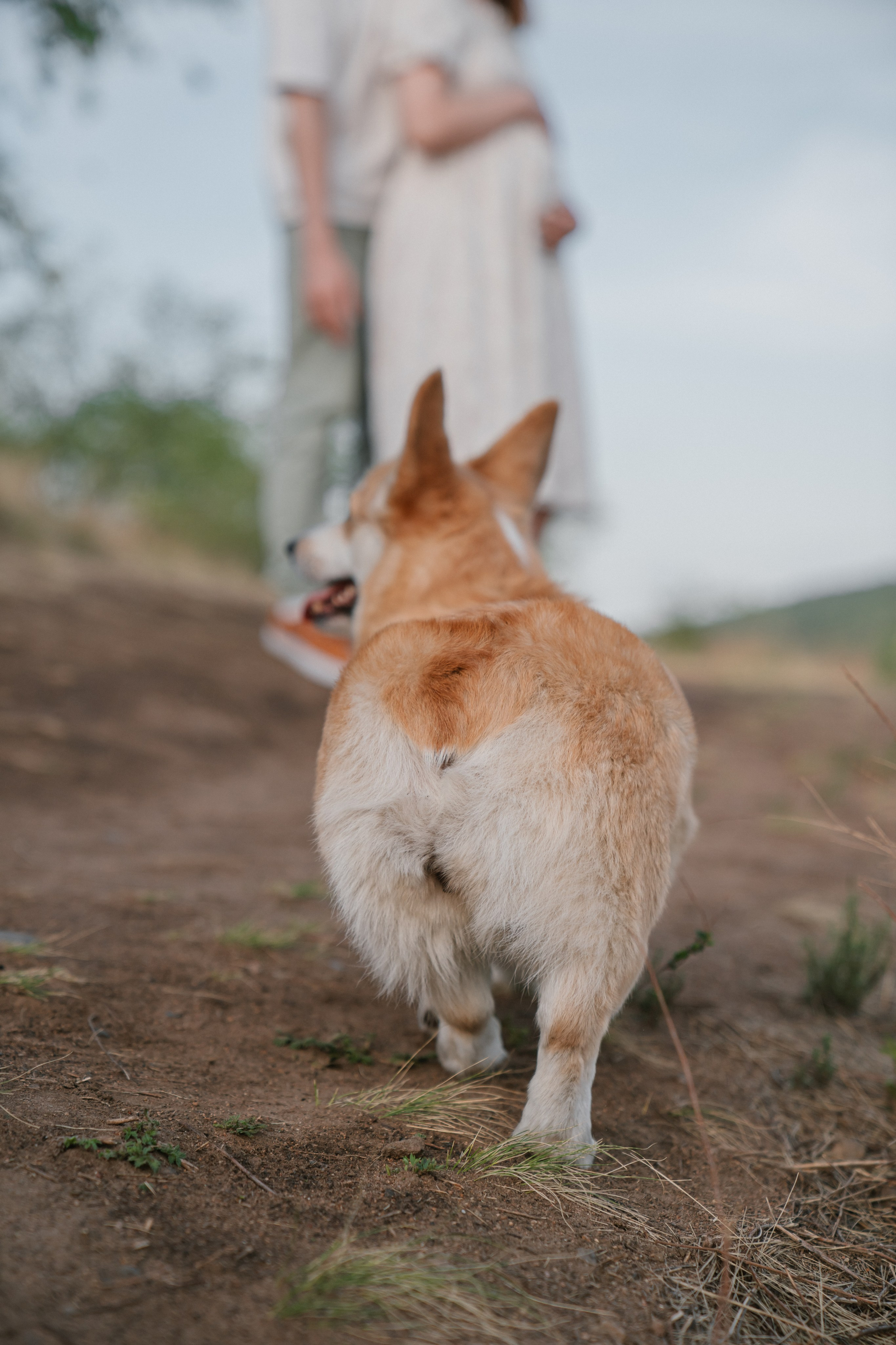 На закате. Евгения Арефьева — свадебный и портретный фотограф в Чите