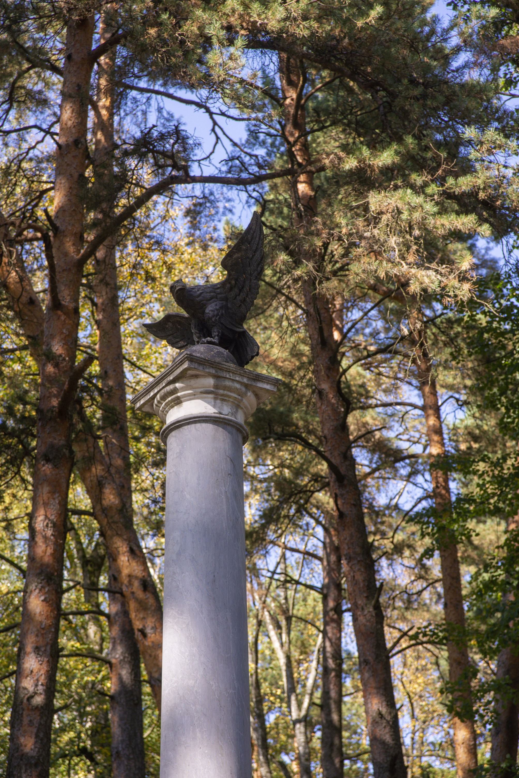 Архангельское. Сентябрь 2023. Игорь Жучков. Россия увиденная глазами путешествующего фотографа