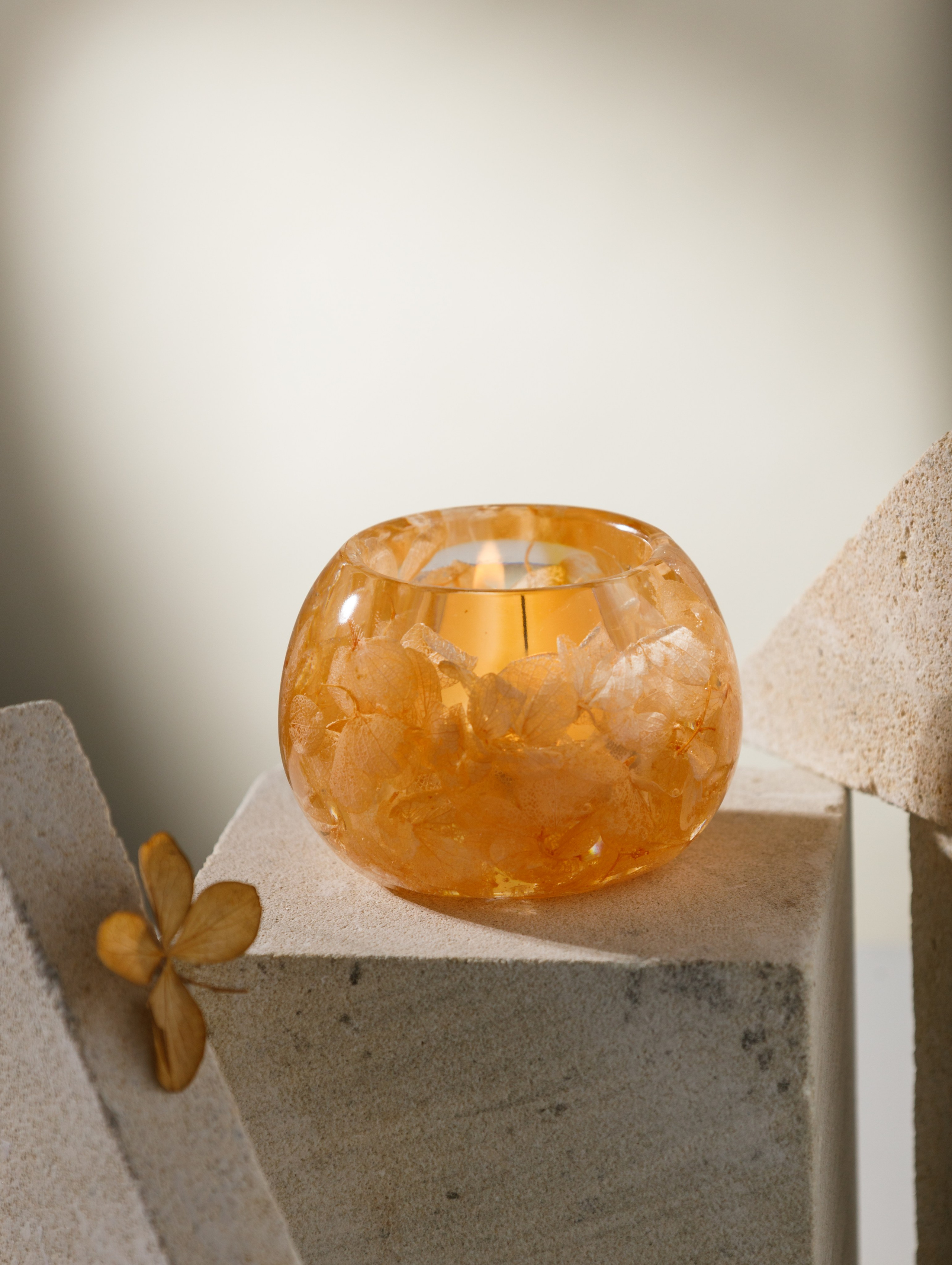 Предметная композиционная съемка фото для сайтов, маркетплейсов, WB, Ozon, Яндекс Маркет и др. Студия коммерческой съемки ХВОЯ