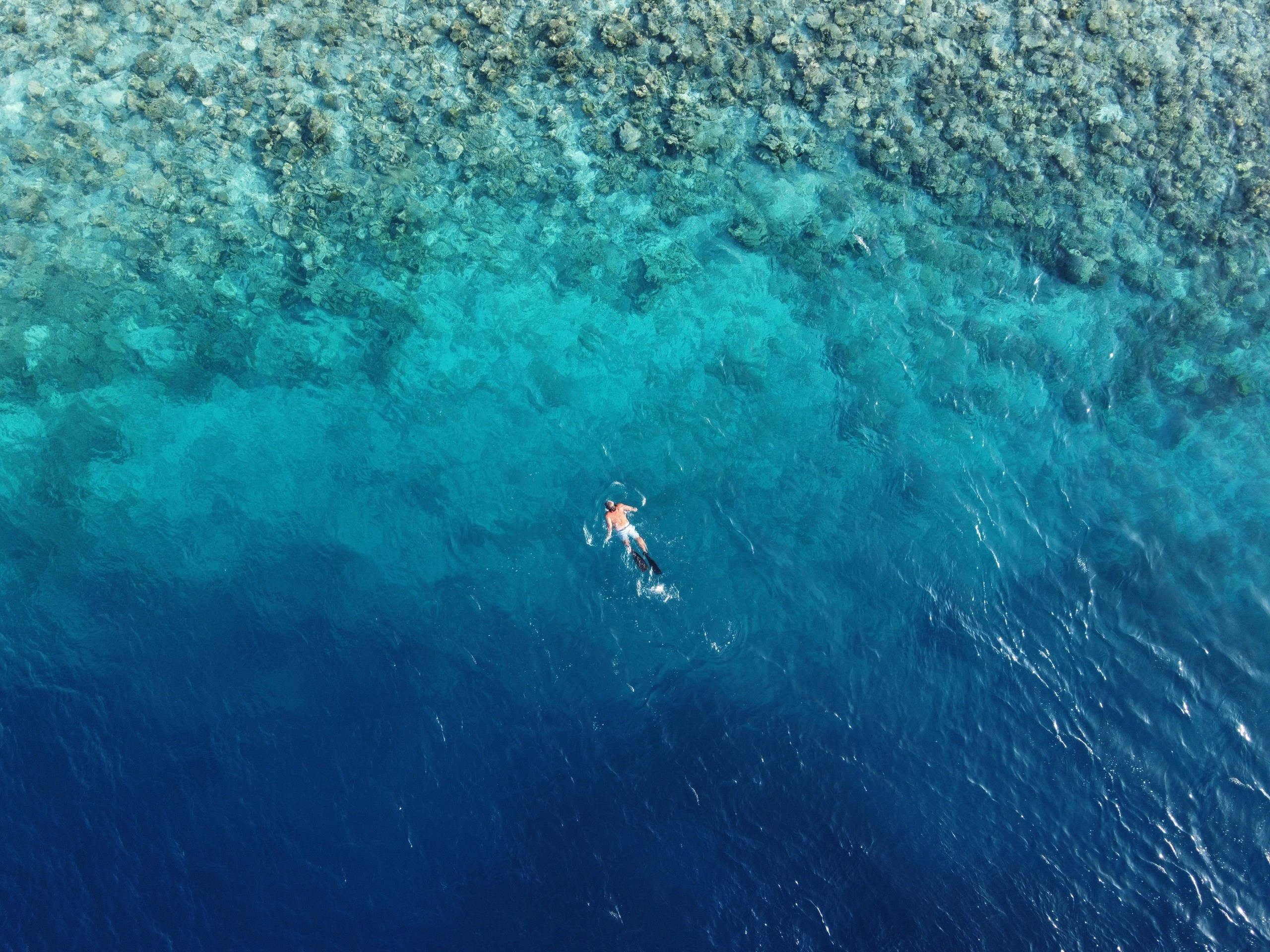 Мальдивы. Фотограф Мельник Ирина. Москва