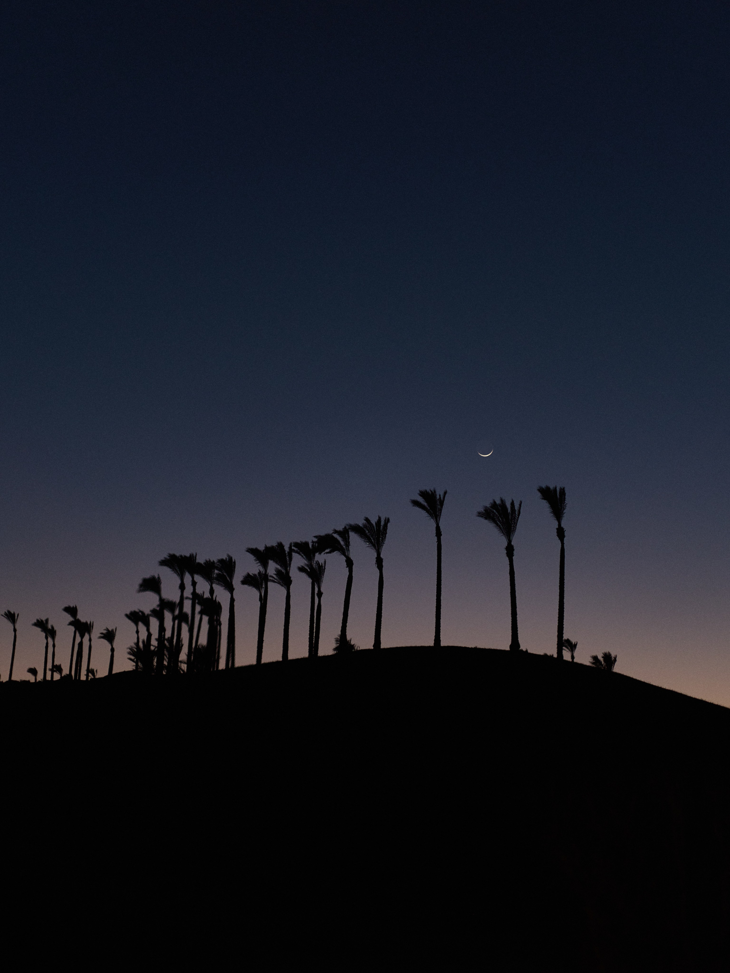 Другое 2. Jorgis Talè — photographer, kind person, teacher of arts and other mag