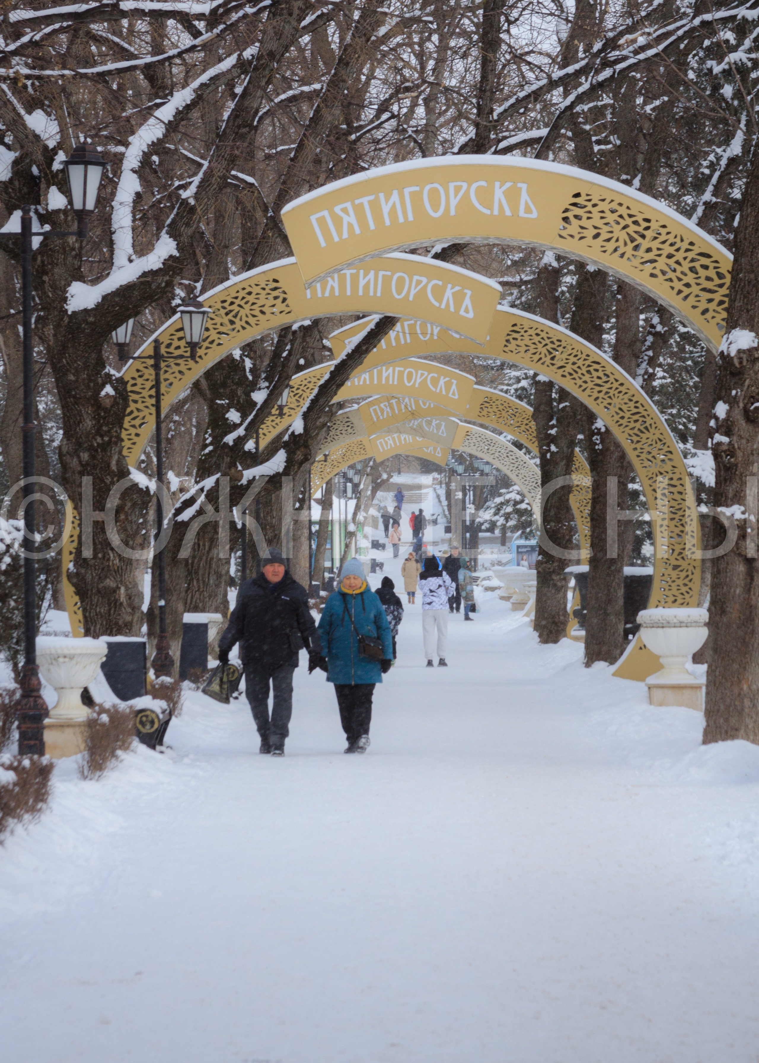 Пятигорский парк Цветник зимой