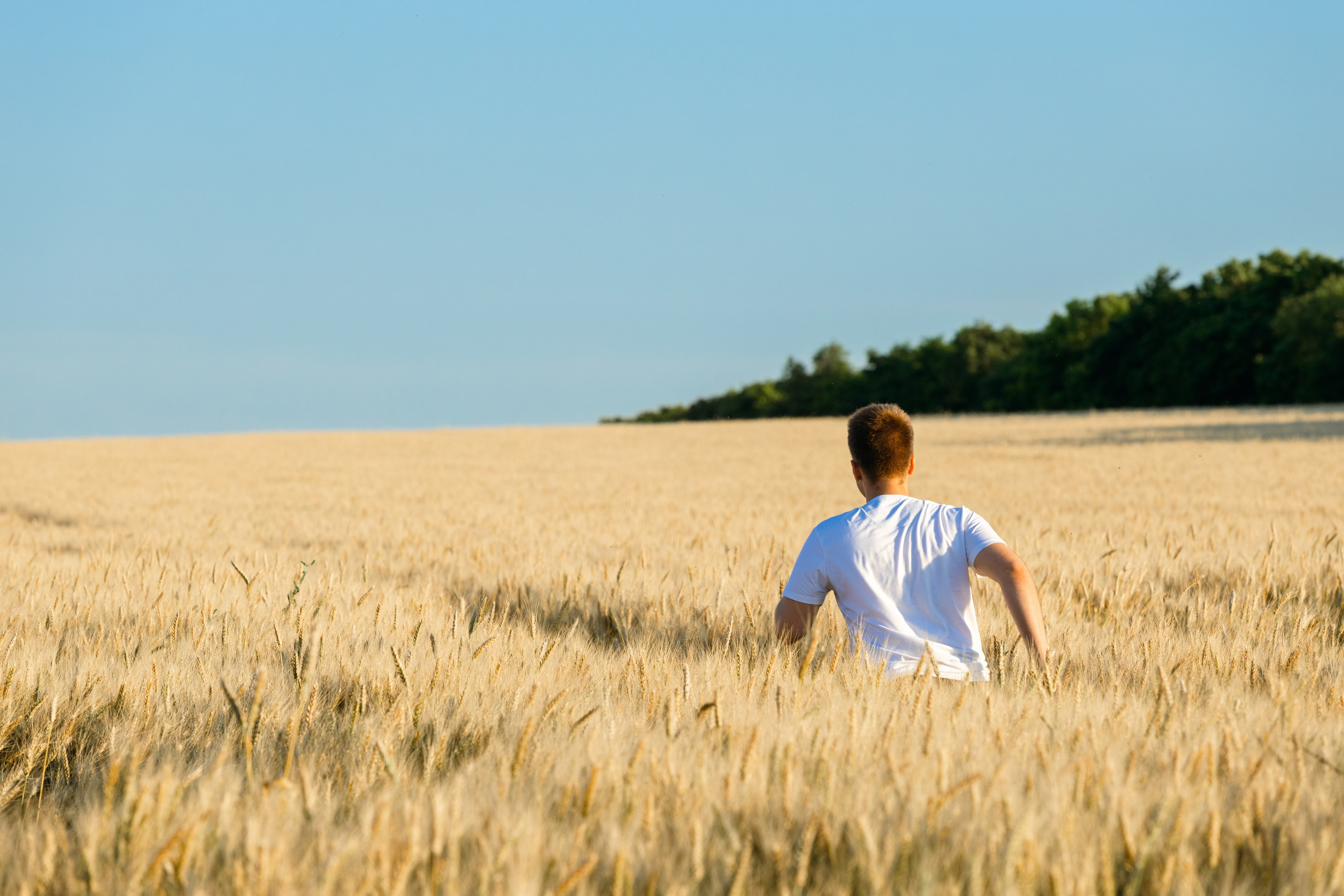 Семейная фотосессия в пшеничном поле. Свадебный и семейный фотограф в Краснодарском крае Мария Данилкина