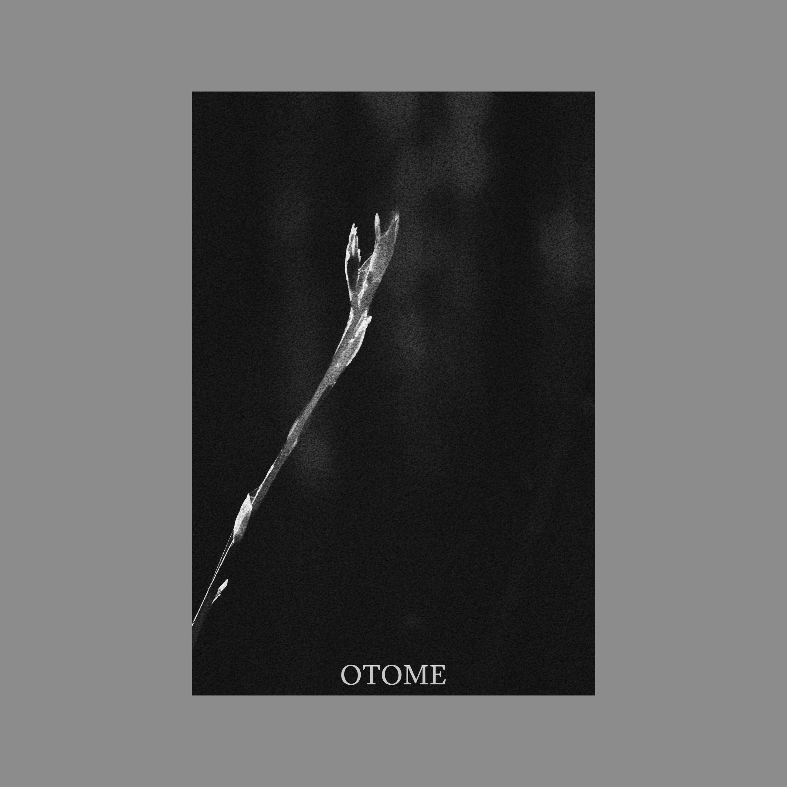 Тихие имена (серия). Мистические фотосессии в Санкт-Петербурге от мистика Ильи Шенгелия