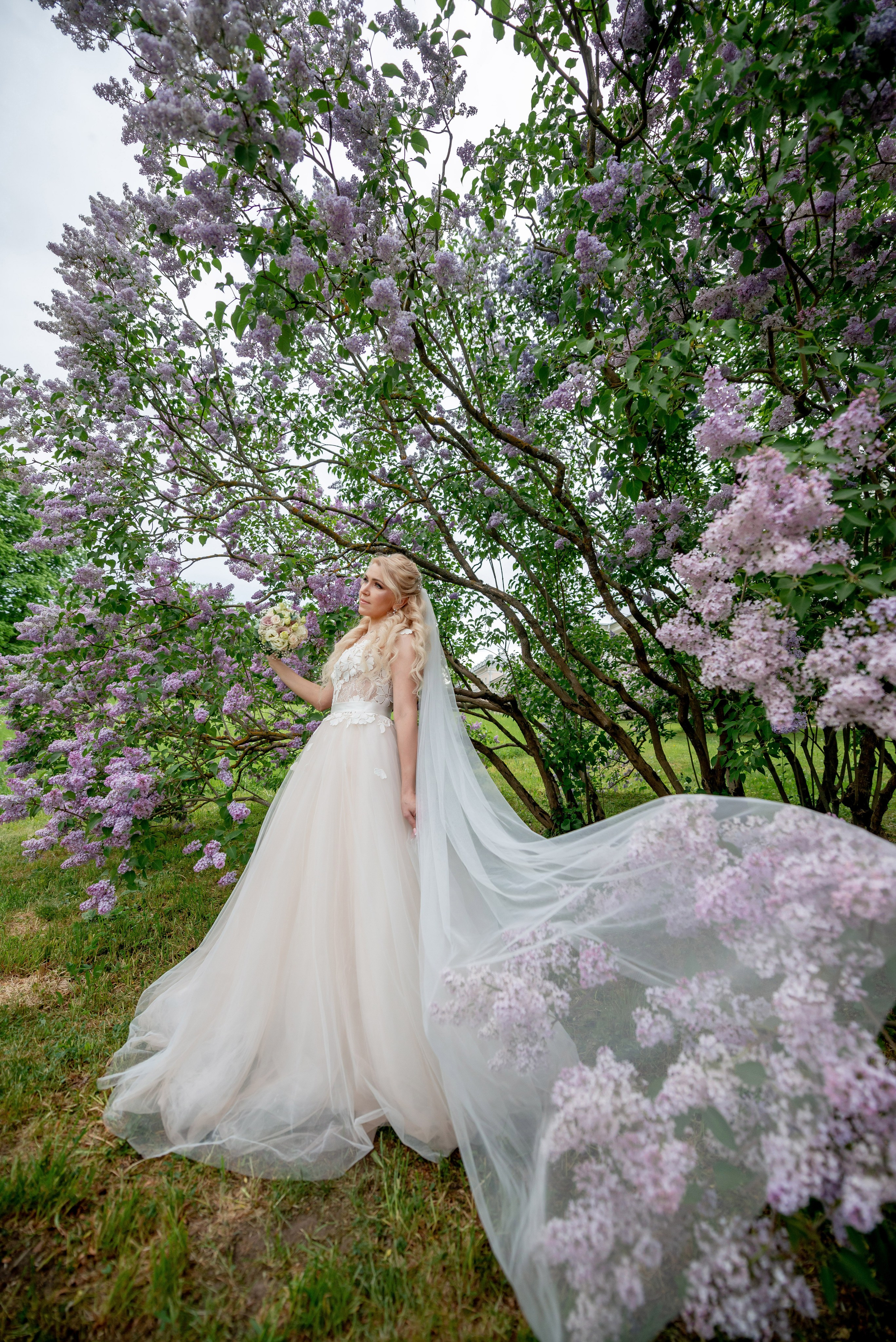 Евгения (фотосессия с малиновым chevrolet camaro, в сирени в Пушкине в Екатерининском парке). Портретный, семейный и свадебный фотограф в Санкт-Петербурге и в Пушкине Ширяев Денис