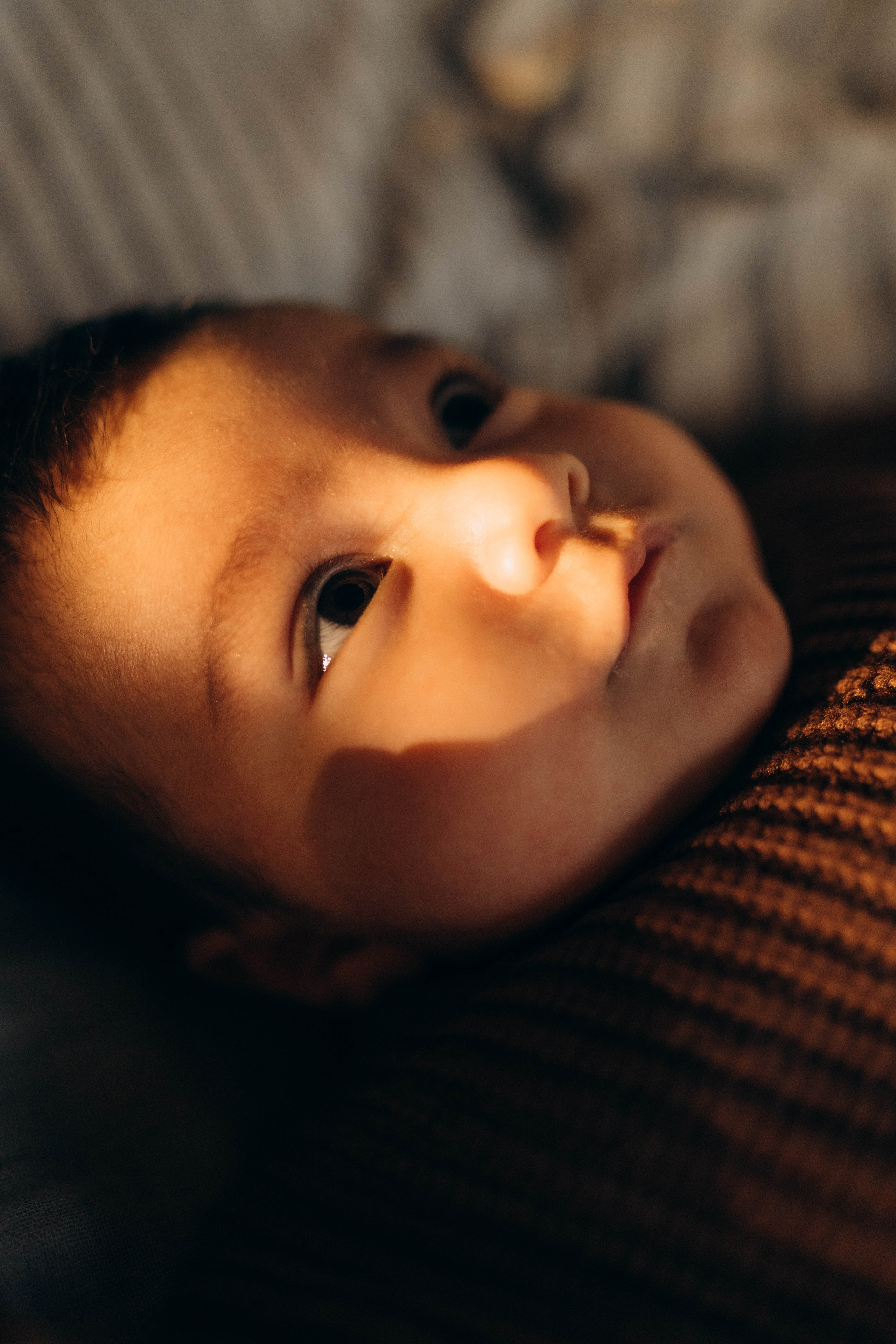 Сева, Сехран, Мурад и Имран. Семейный фотограф Юлия Котова