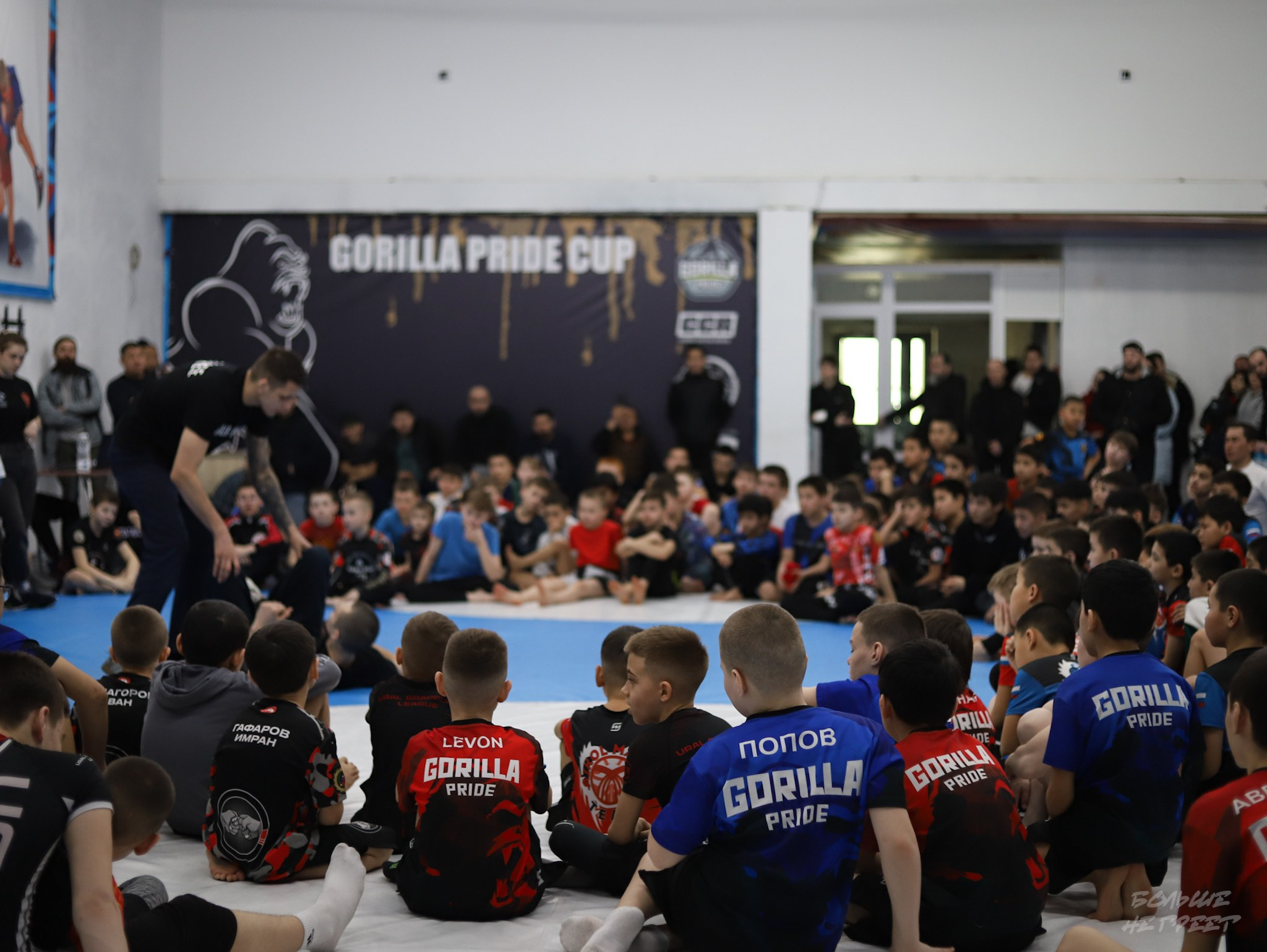 GORILLA PRIDE CUP. Больше не греет