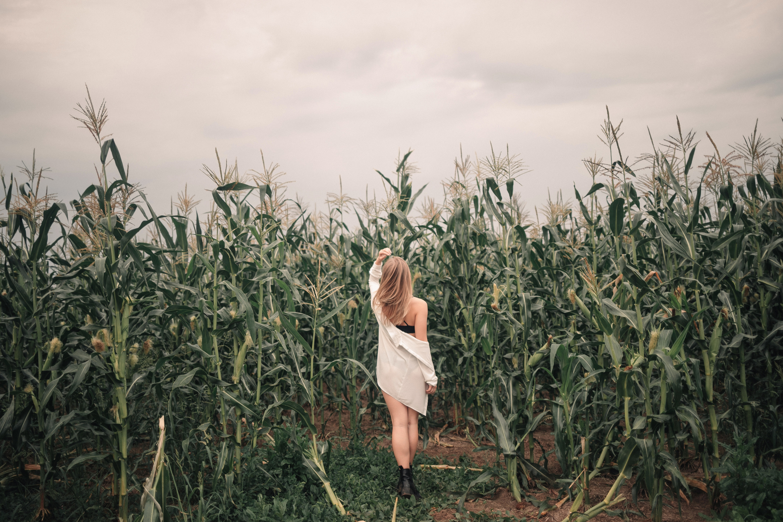 Съемка в кукурузе. Фотография