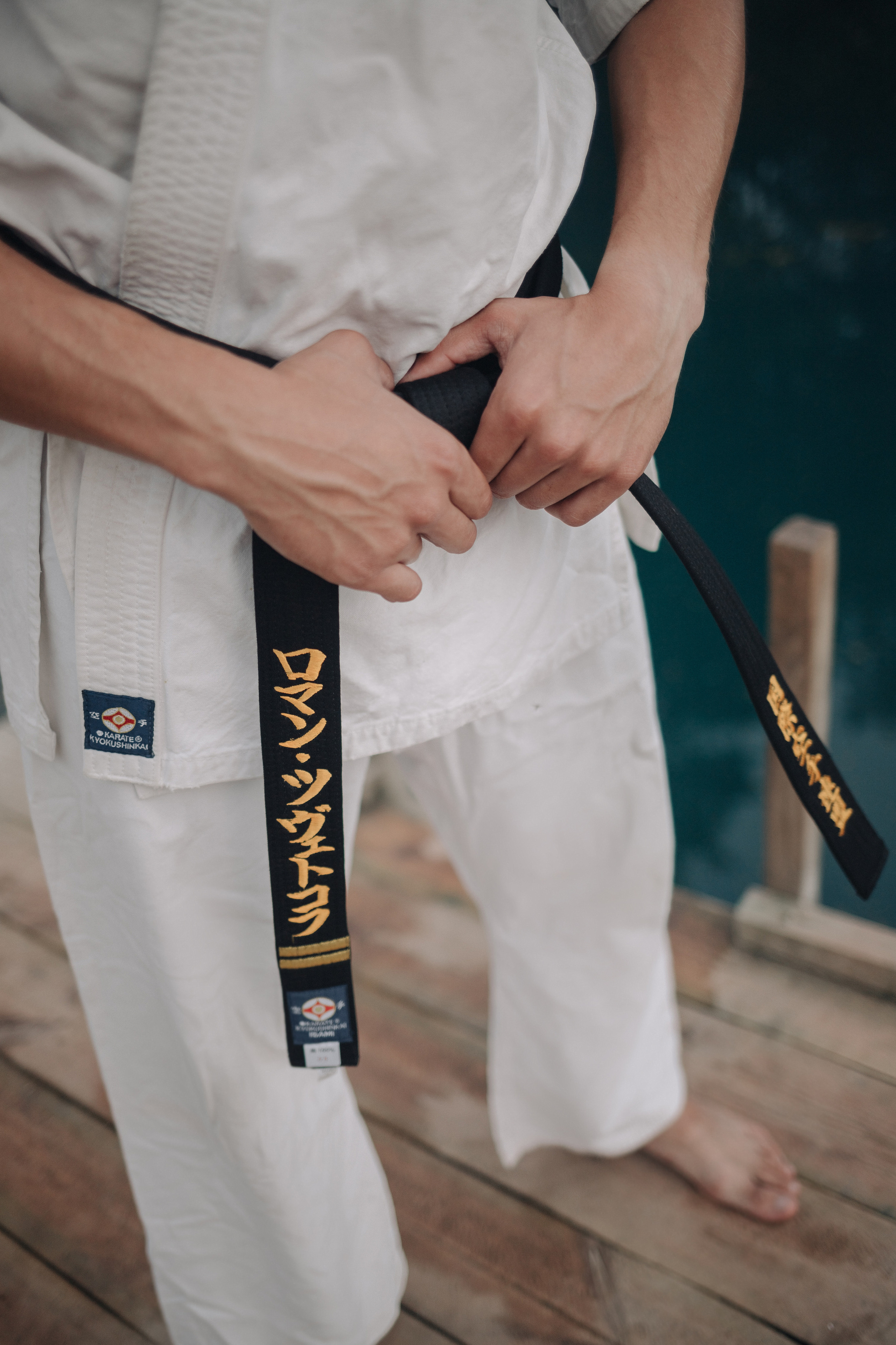 Киокушинкай каратэ (Роман). Фотография