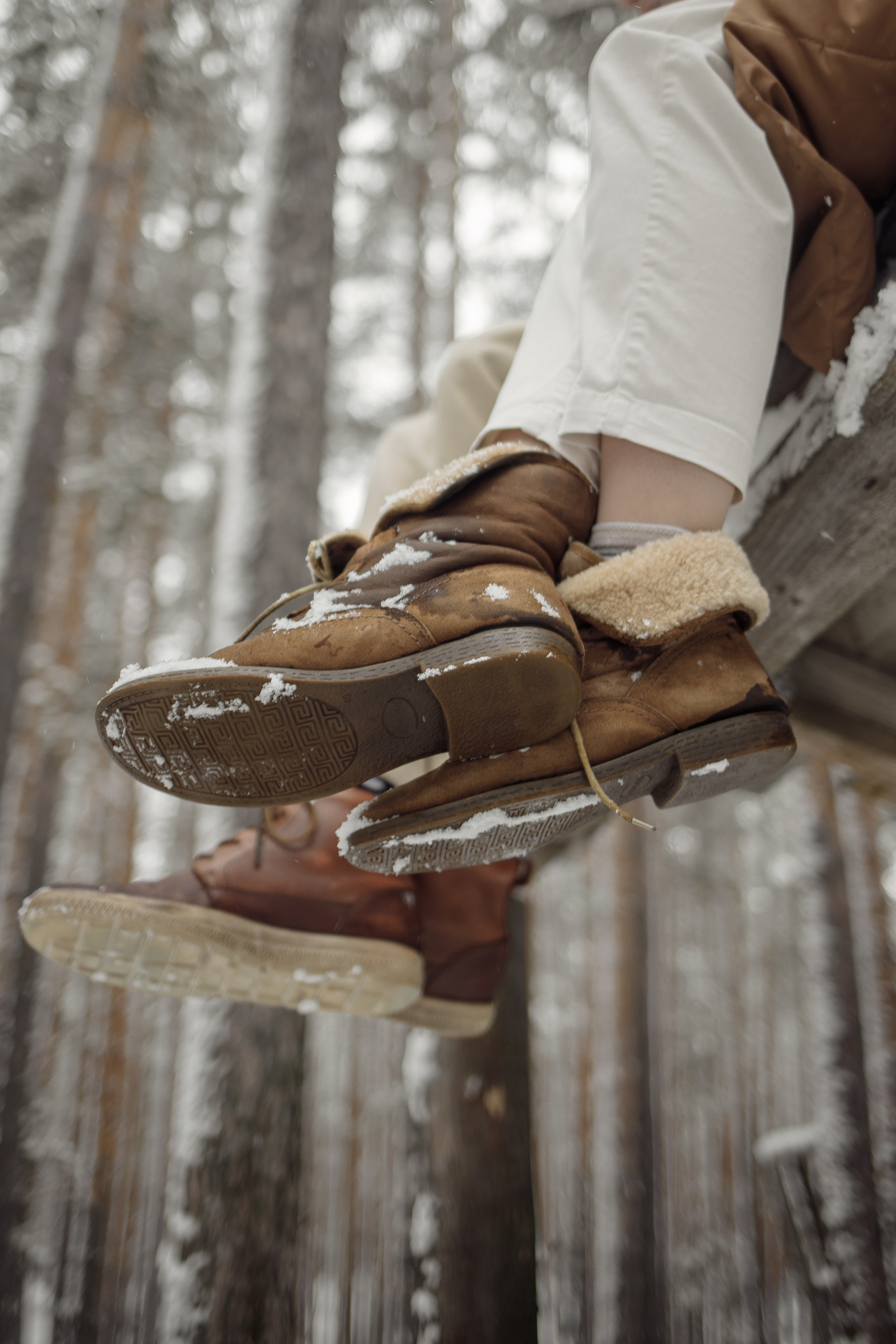 Зимняя прогулка № 1. Фотография