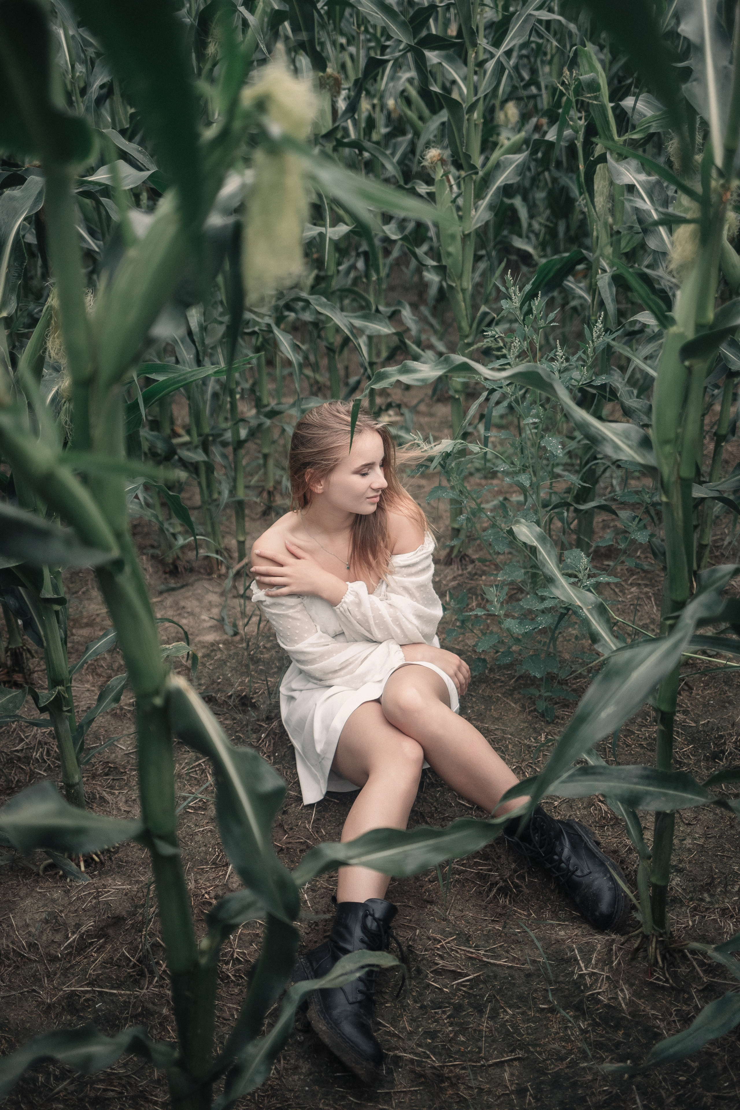 Съемка в кукурузе. Фотография