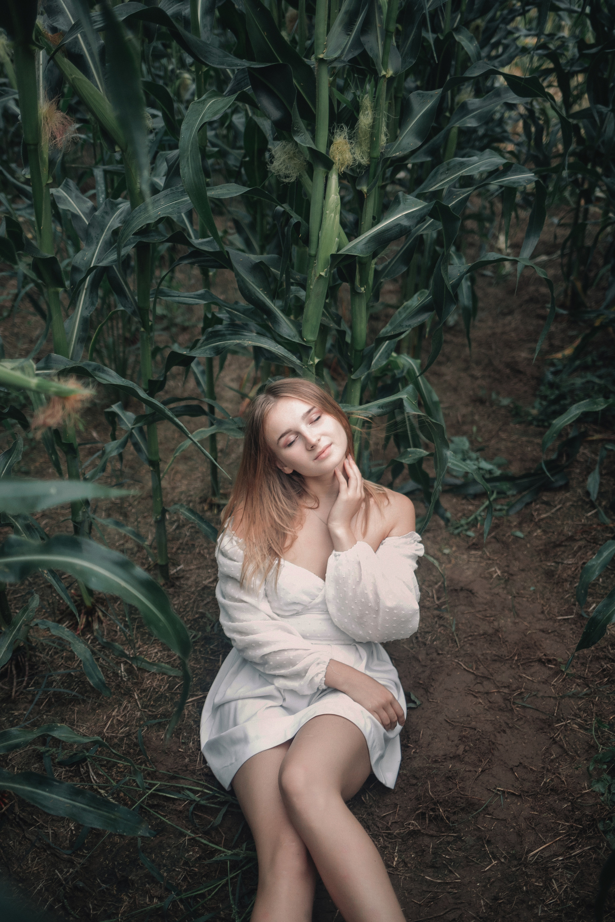 Съемка в кукурузе. Фотография