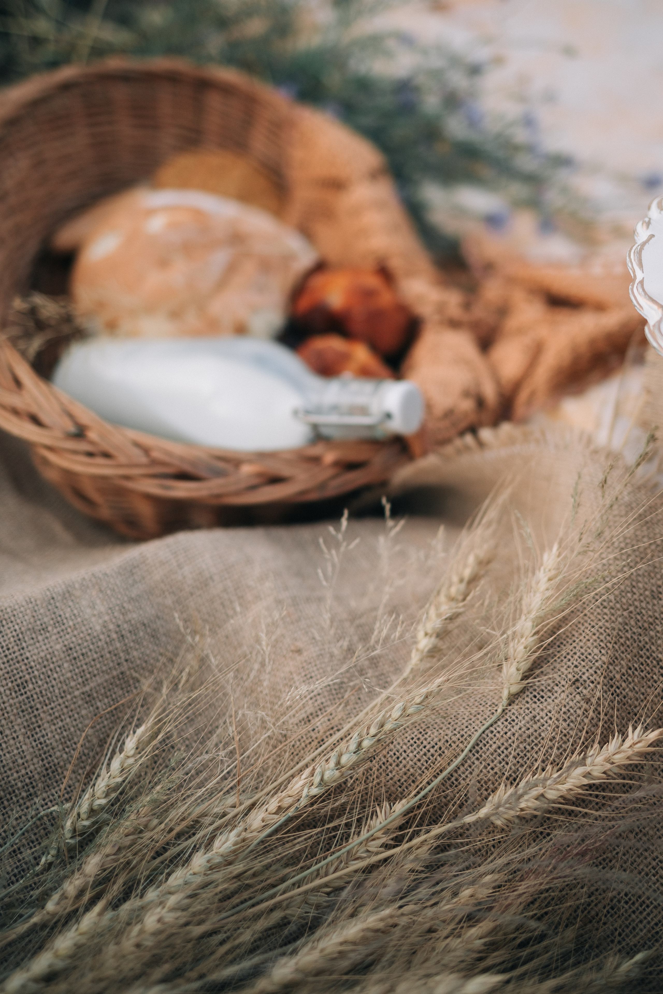 Фотосессия № 5 (лето). Фотография