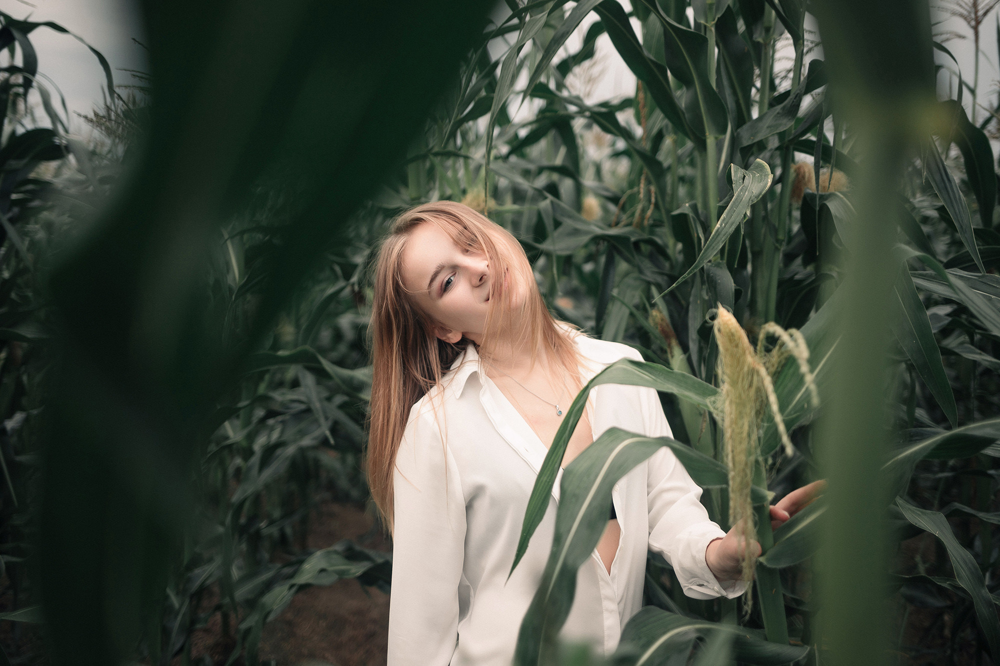 Съемка в кукурузе. Фотография