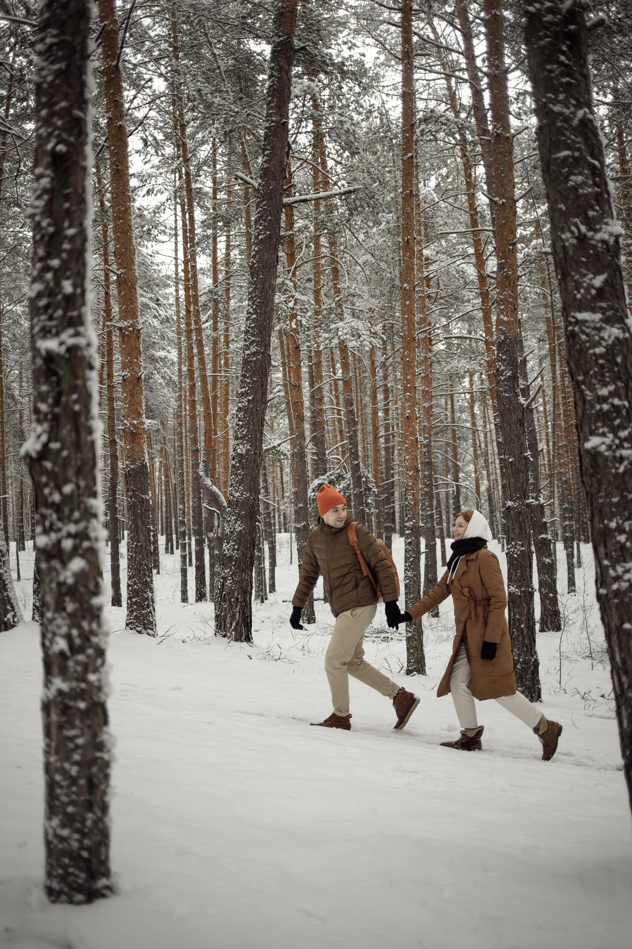 Зимняя прогулка № 1. Фотография