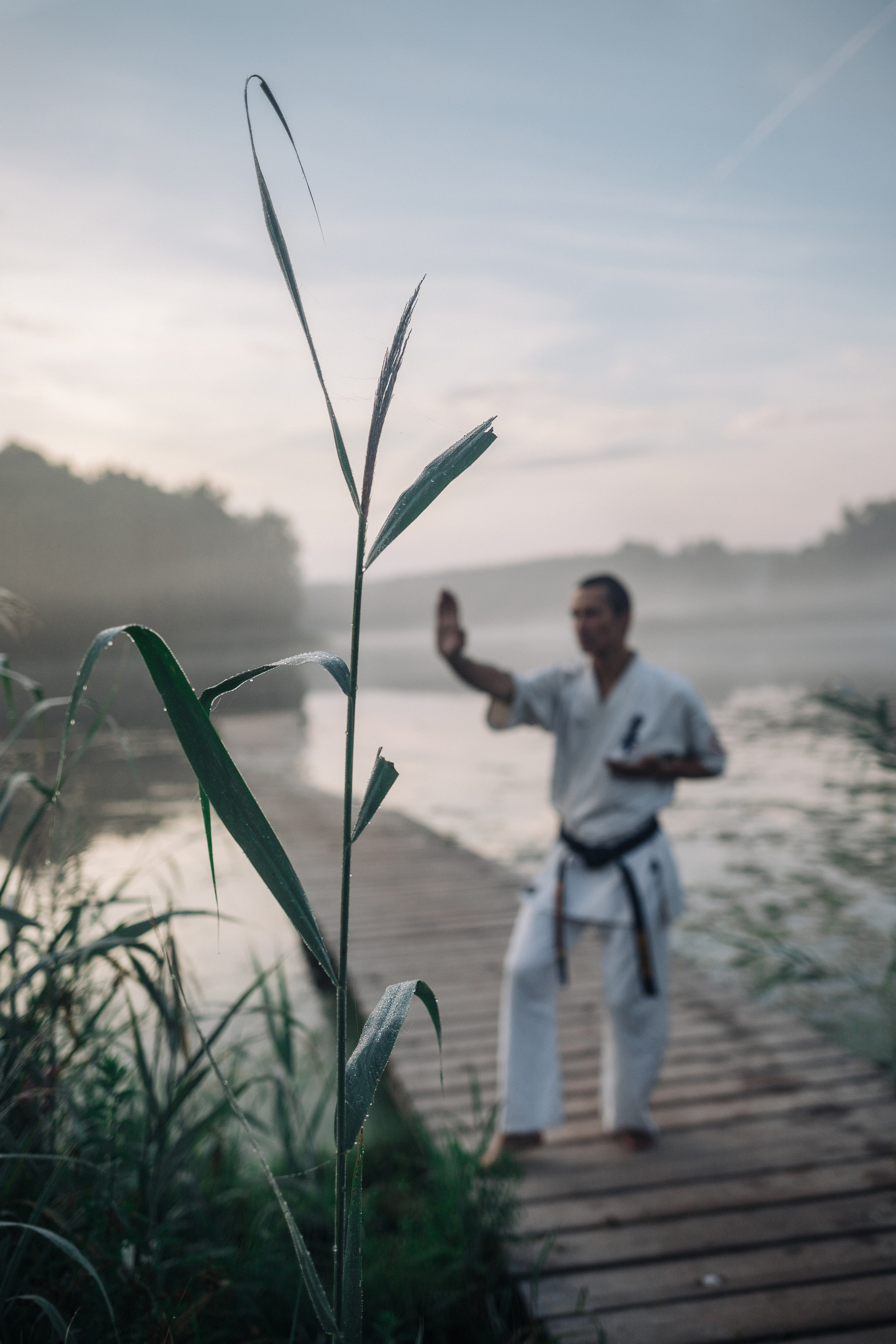 Киокушинкай каратэ (Роман). Фотография