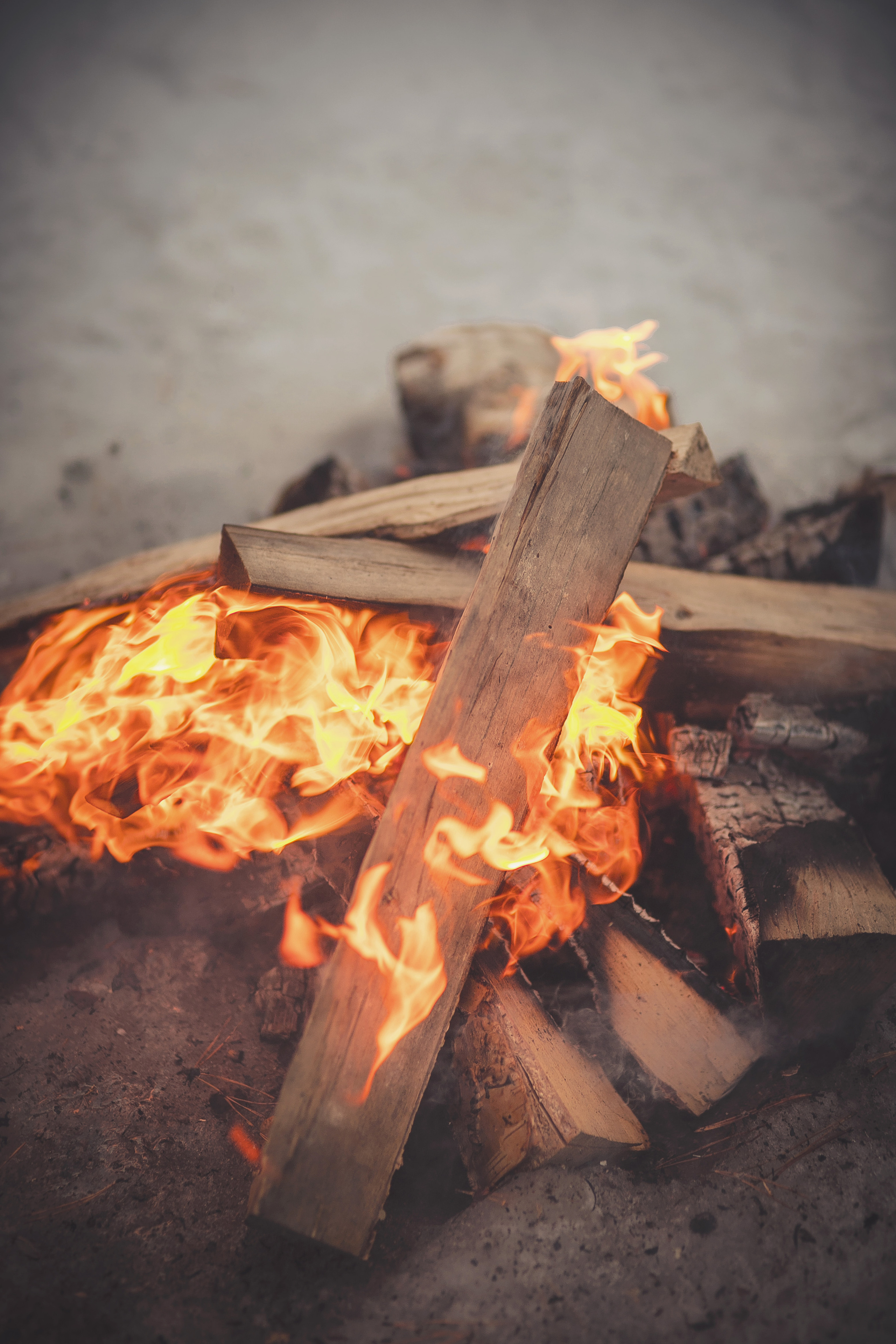 Зимняя прогулка № 2. Фотография