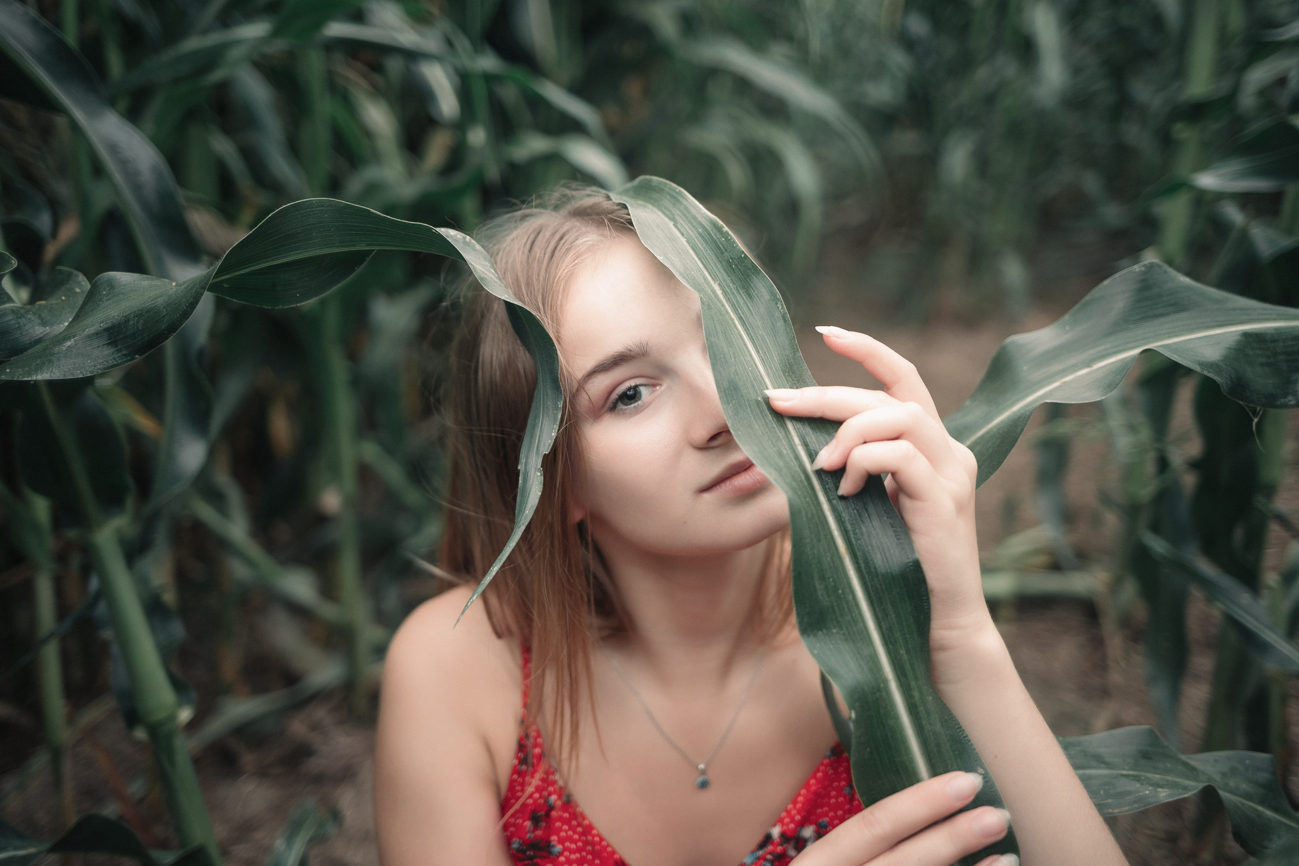 Съемка в кукурузе. Фотография