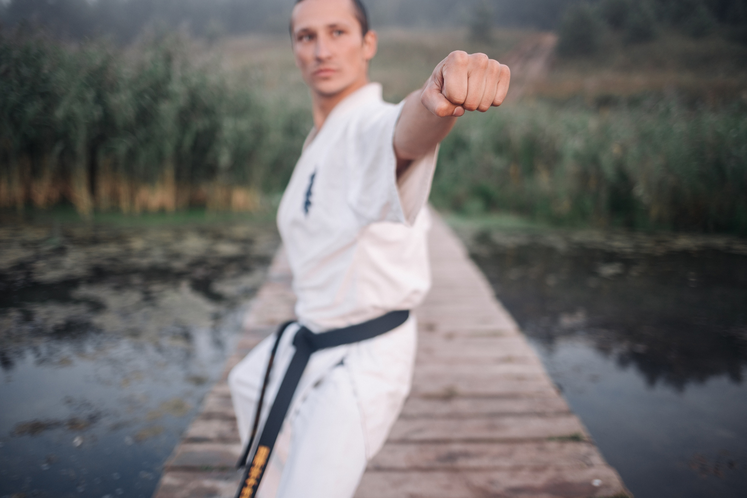 Киокушинкай каратэ (Роман). Фотография