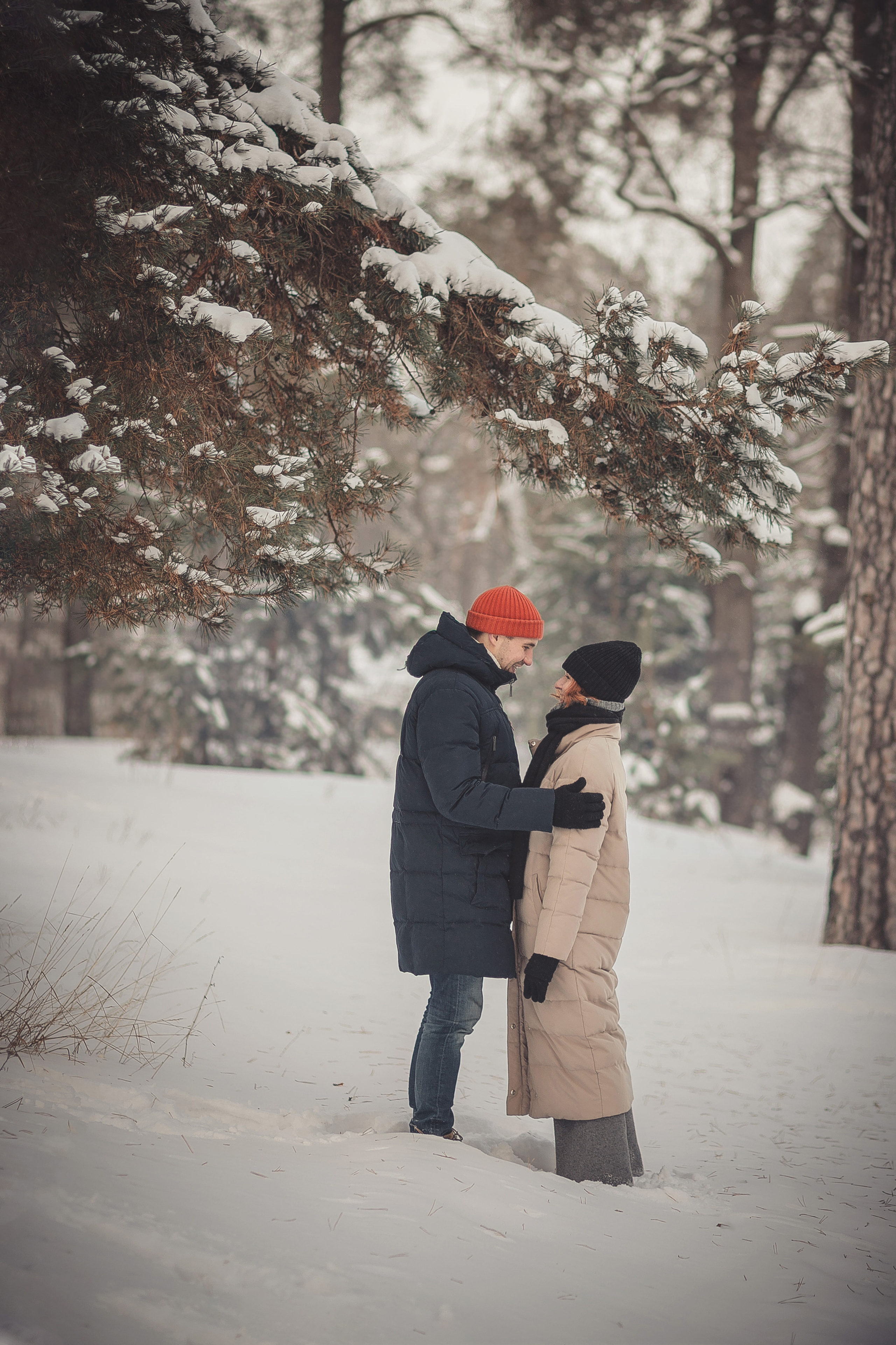 Зимняя прогулка № 2. Фотография