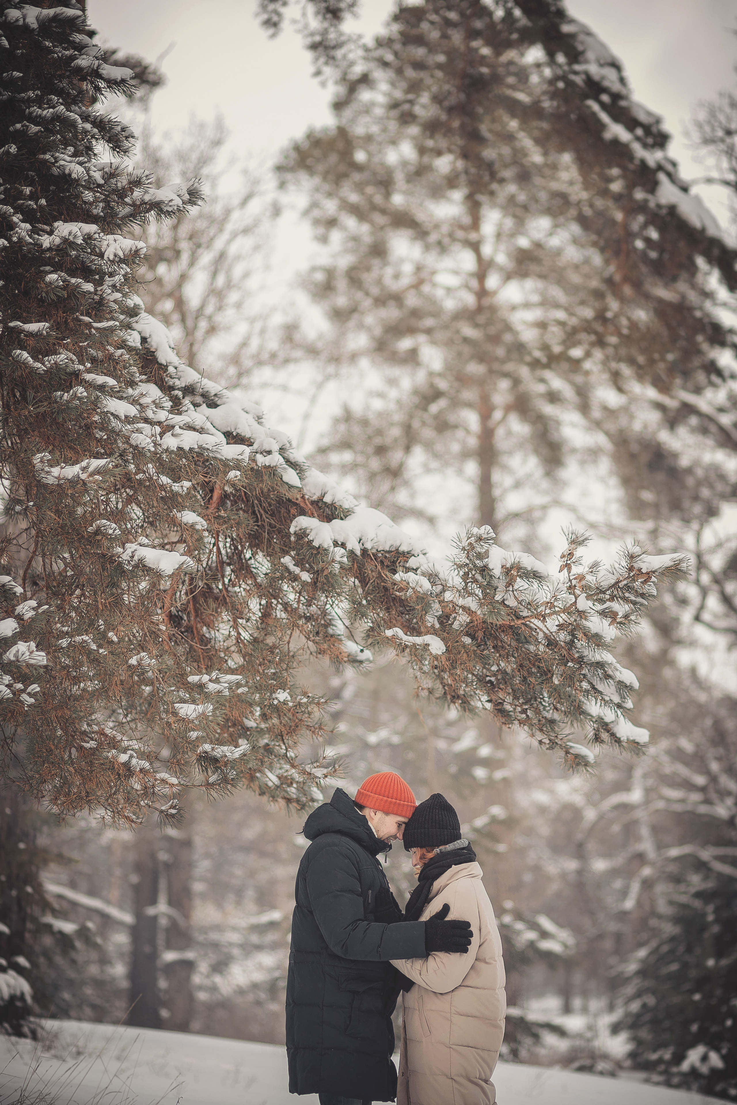 Зимняя прогулка № 2. Фотография