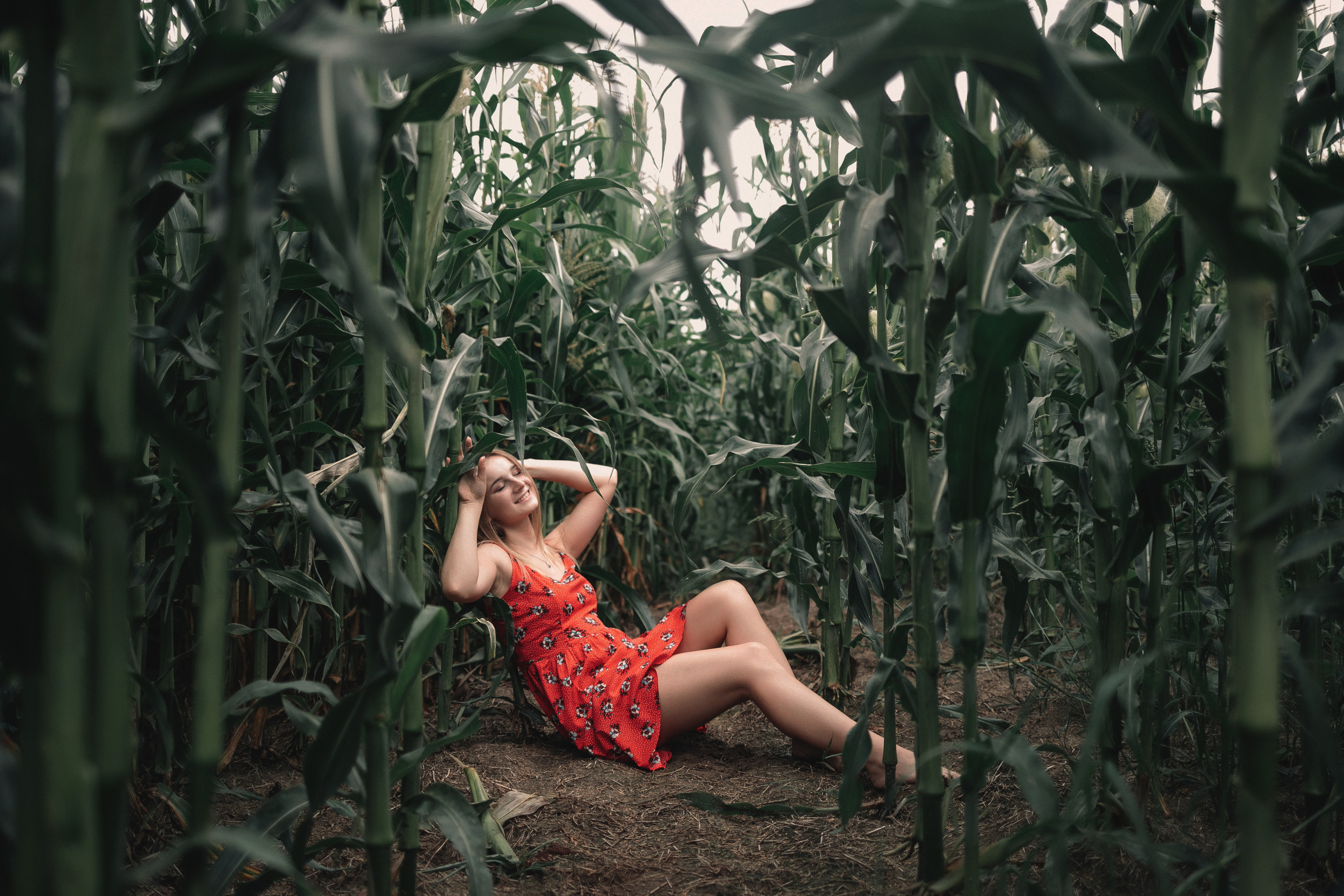 Съемка в кукурузе. Фотография