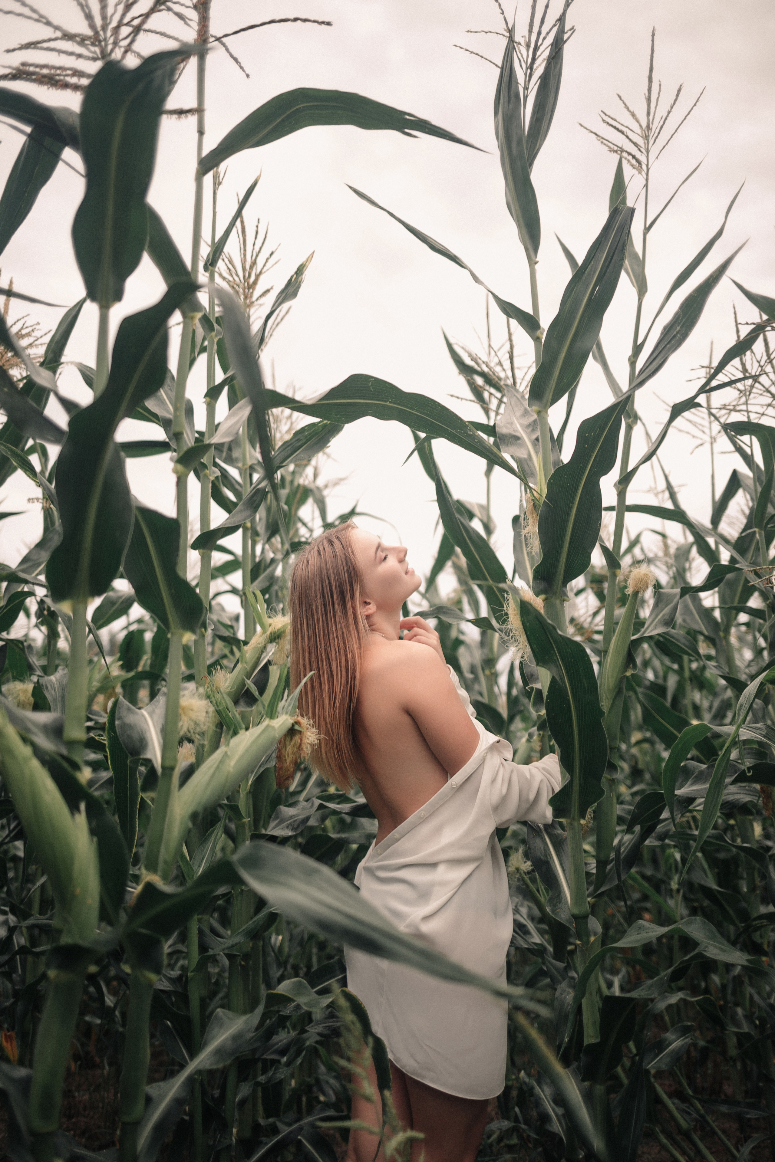 Съемка в кукурузе. Фотография