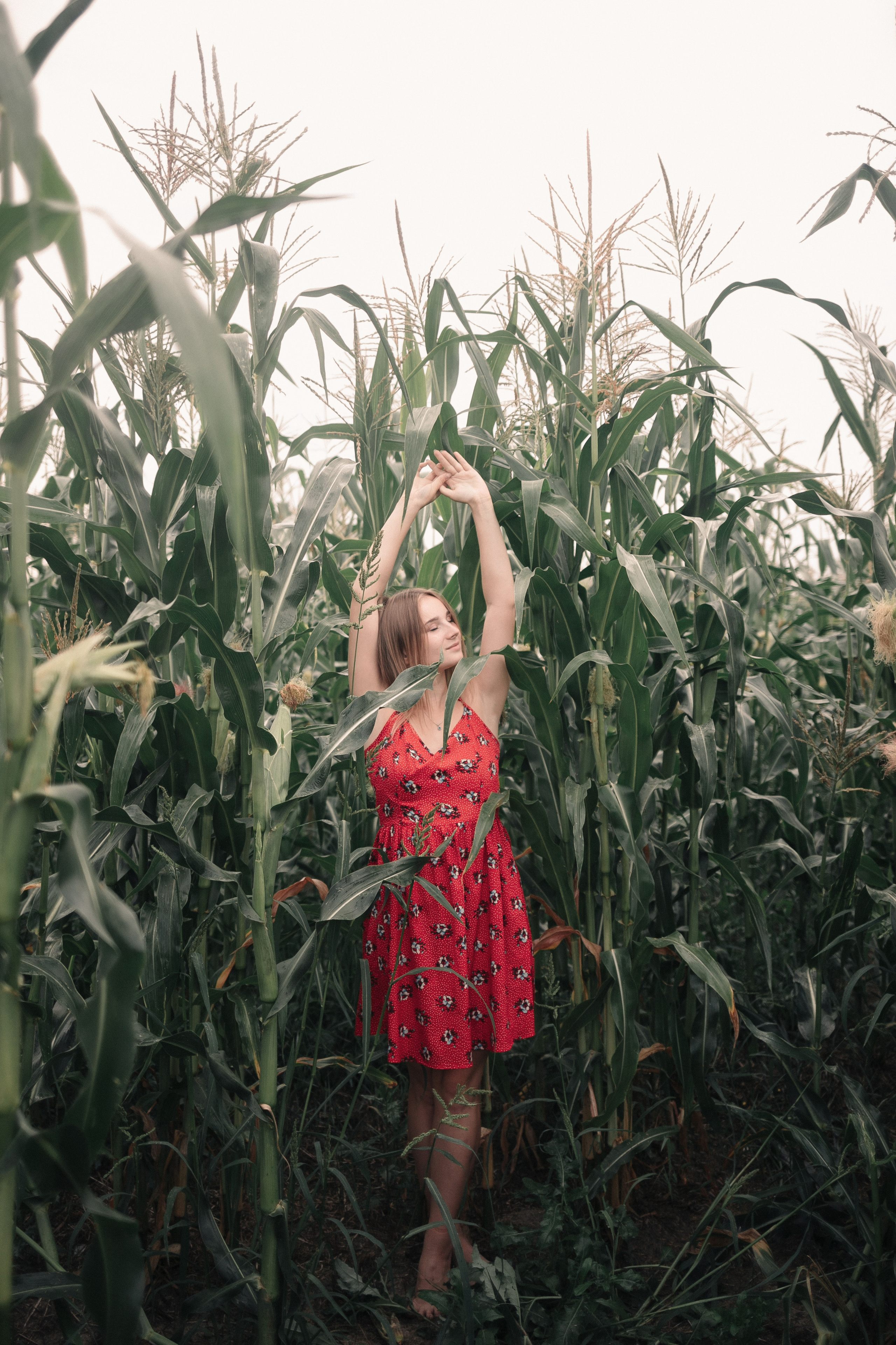 Съемка в кукурузе. Фотография